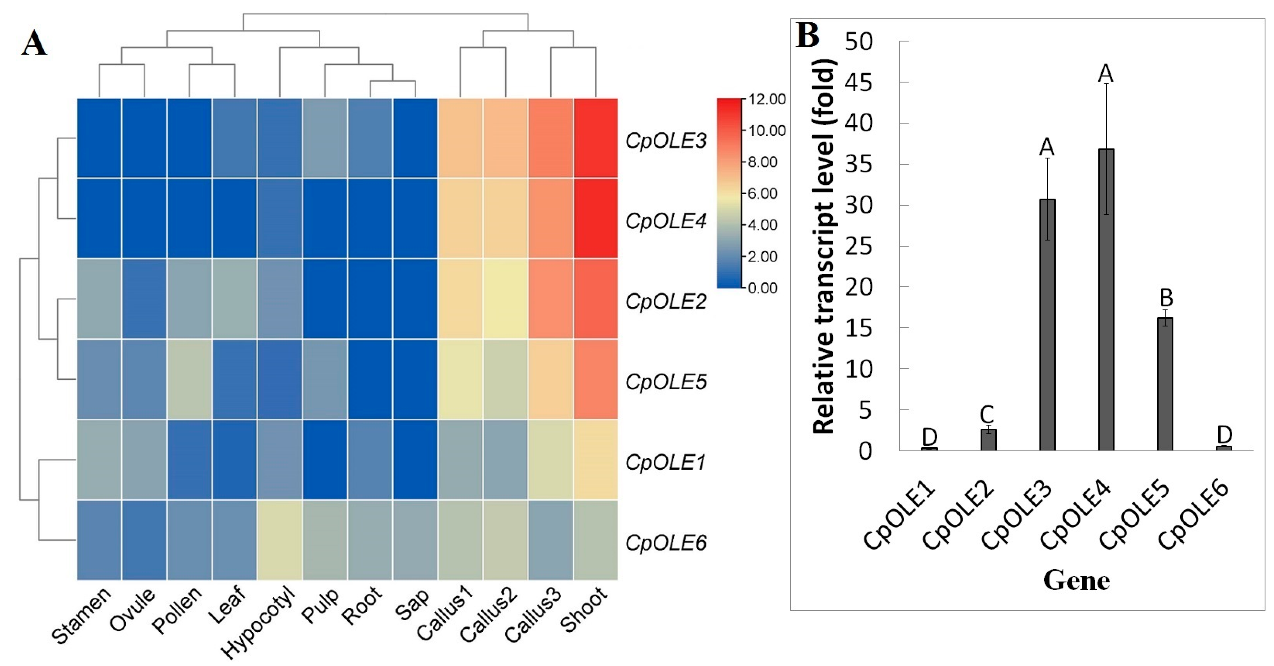 Plants 13 00280 g005 Plants 13 00280 g005