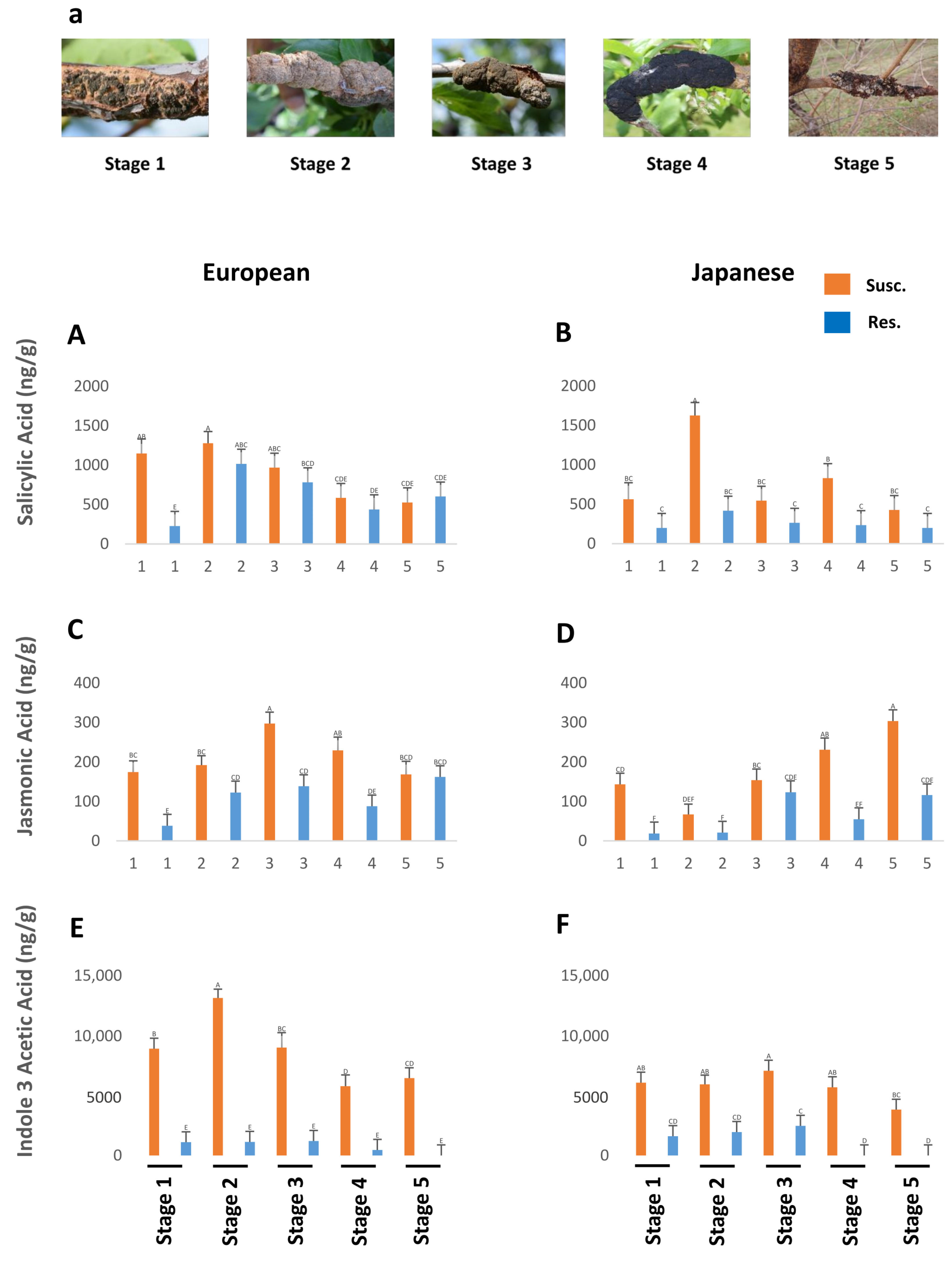 Plants 13 00292 g001 Plants 13 00292 g001