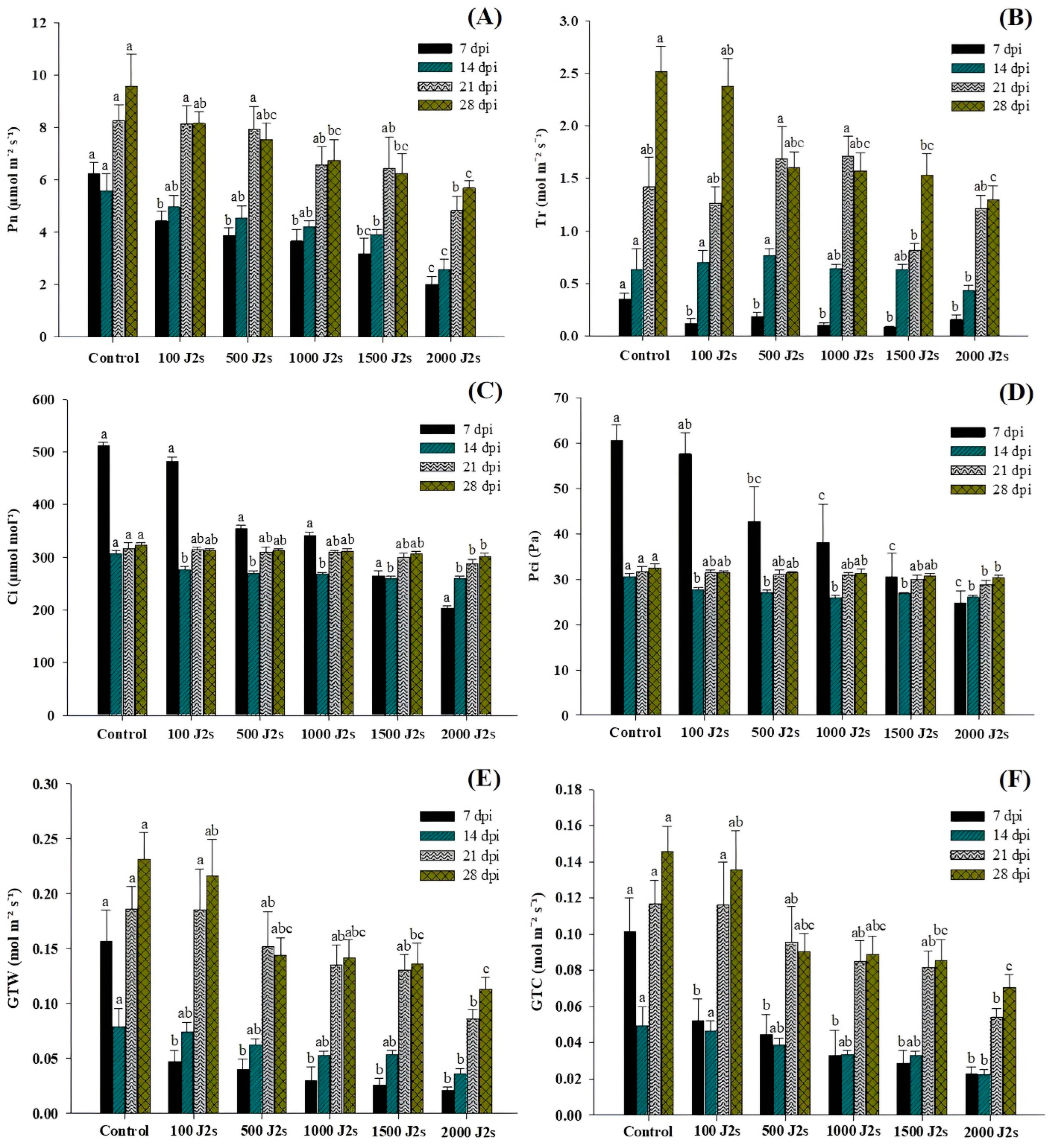 Plants 13 00293 g002