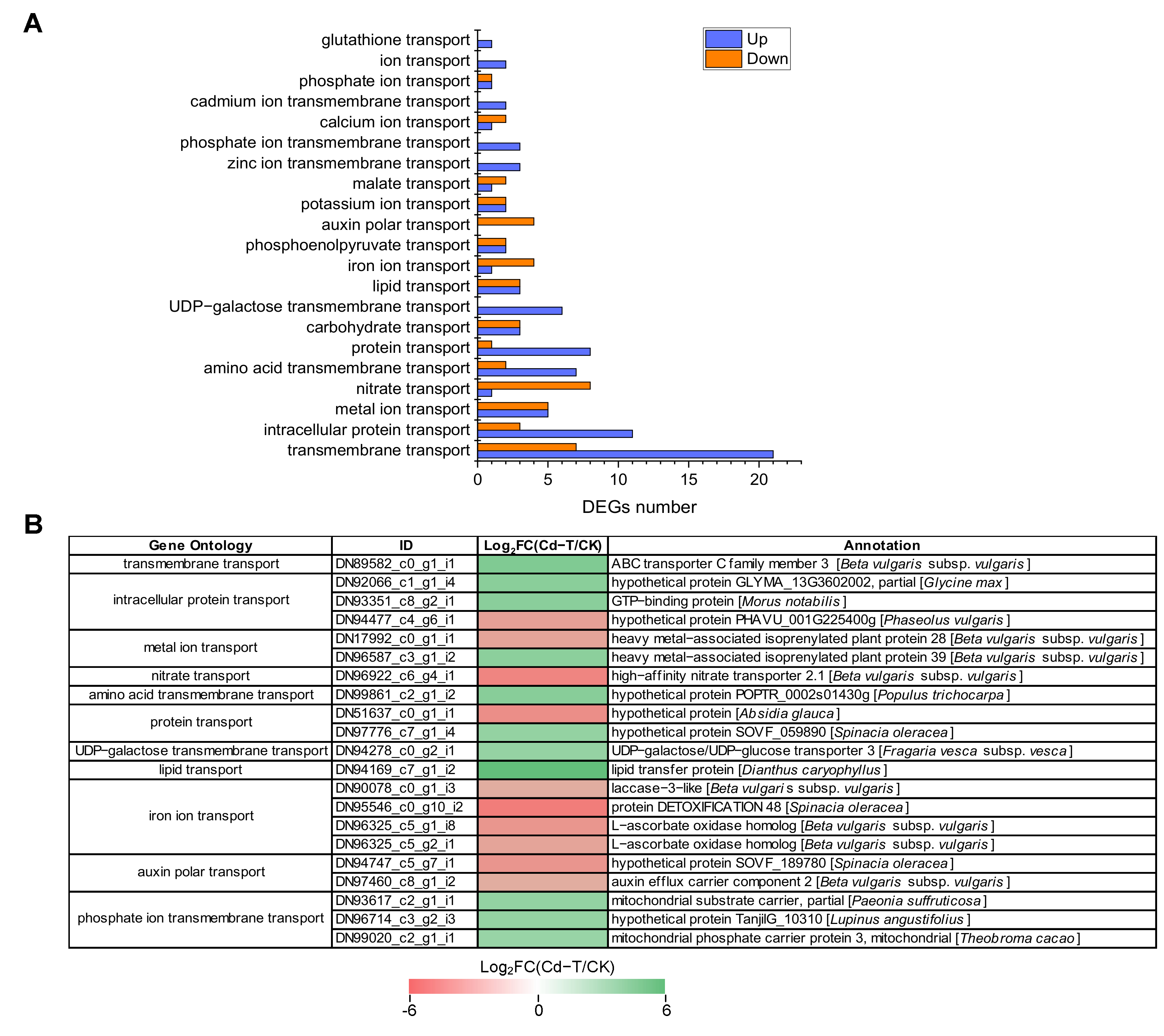 Plants | Free Full-Text | Transcriptome Analysis Reveals Novel Insights ...