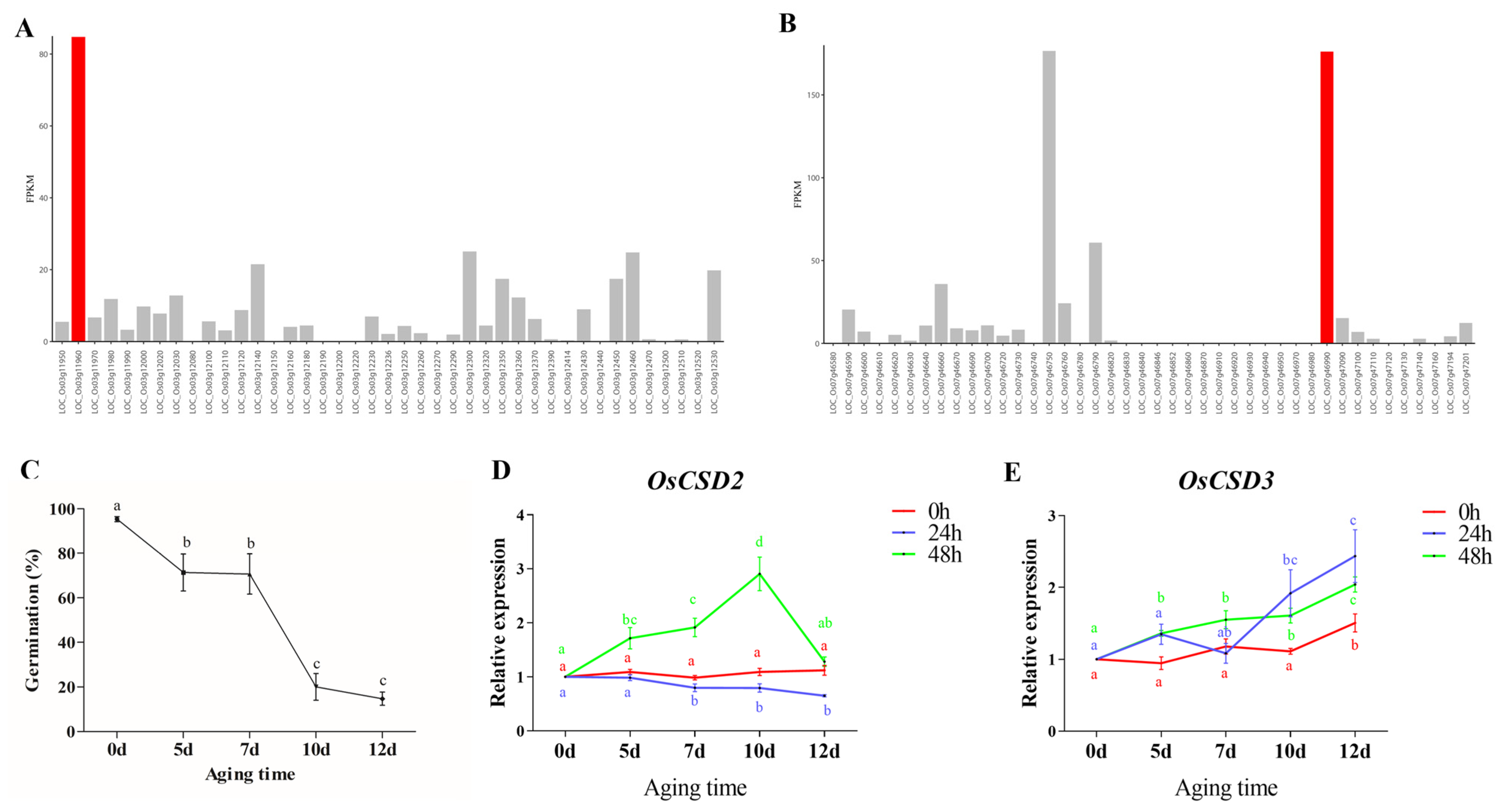 Plants 13 00310 g001