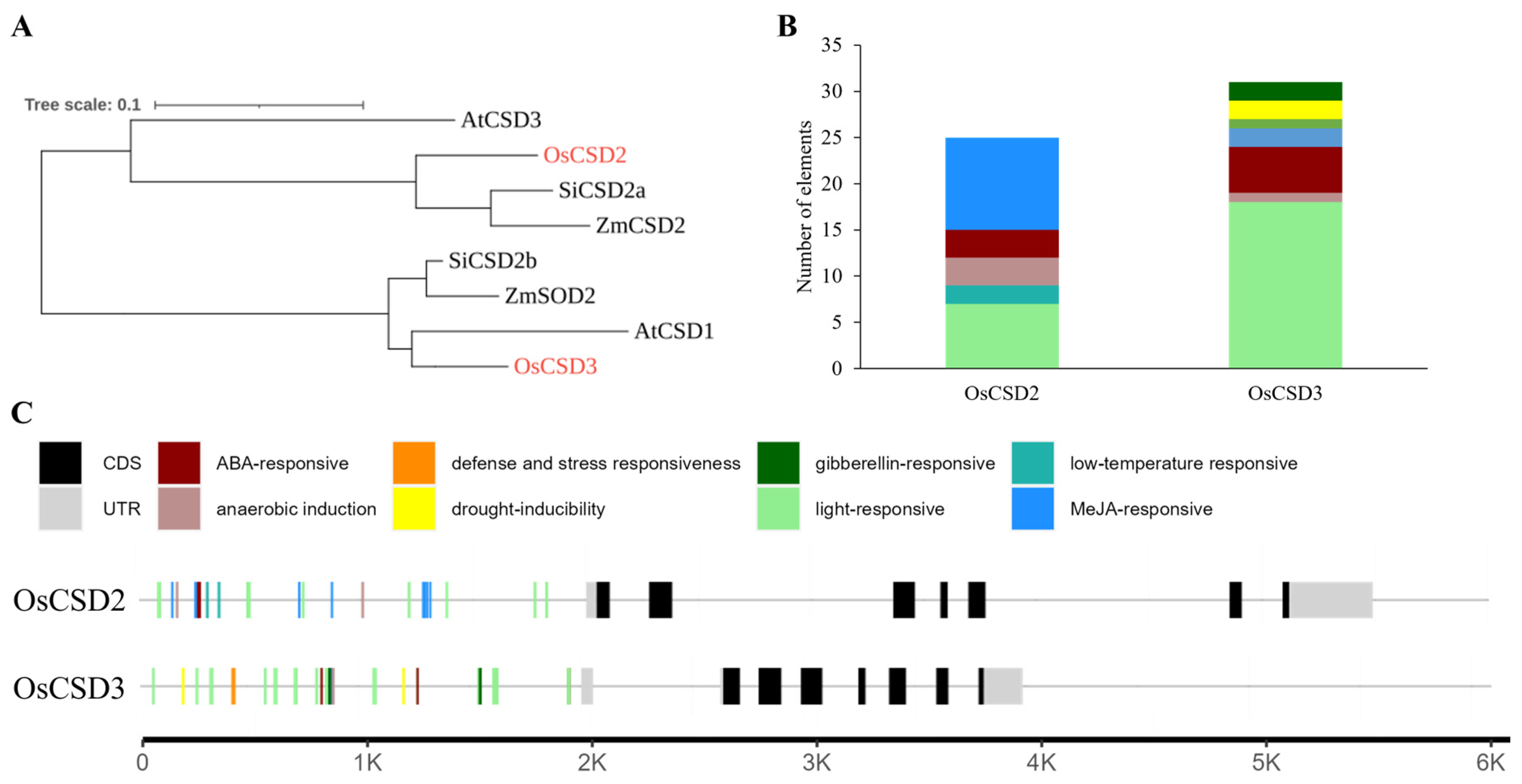 Plants 13 00310 g004