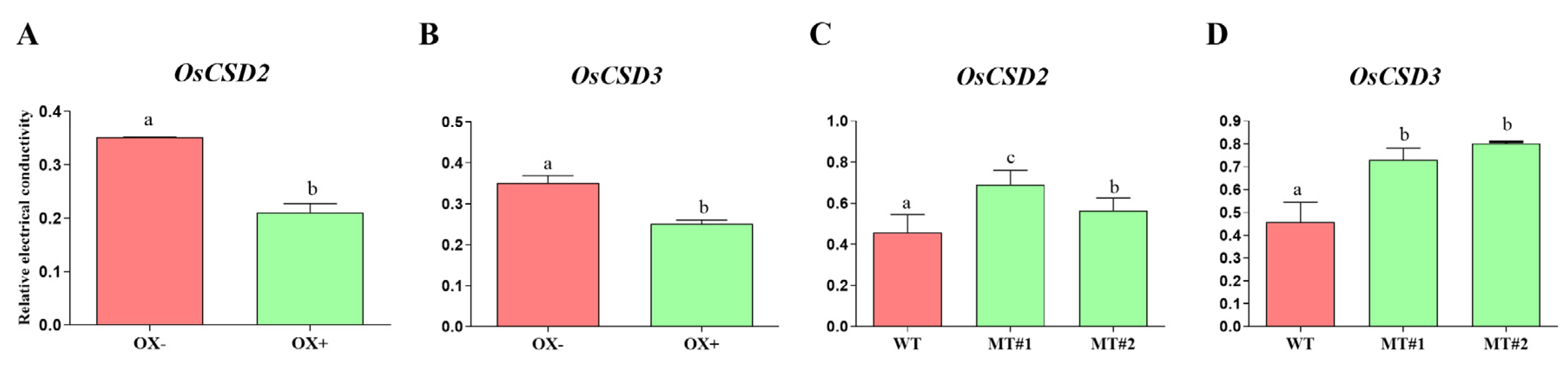 Plants 13 00310 g006