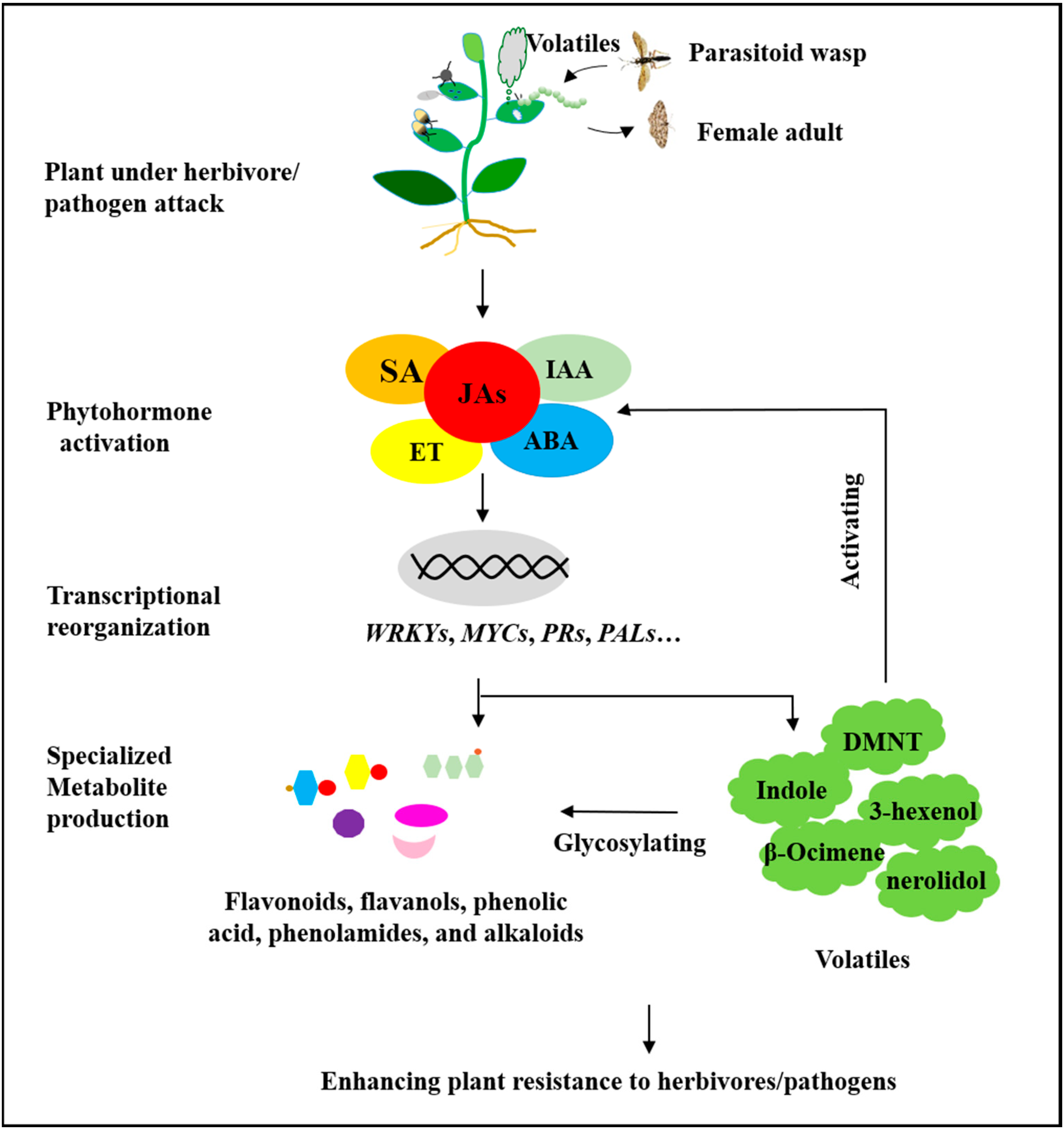 Plants 13 00323 g002