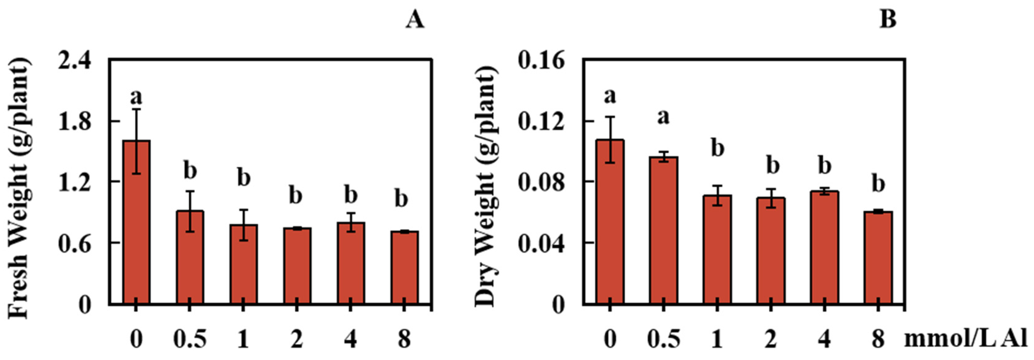 Plants 13 00325 g002