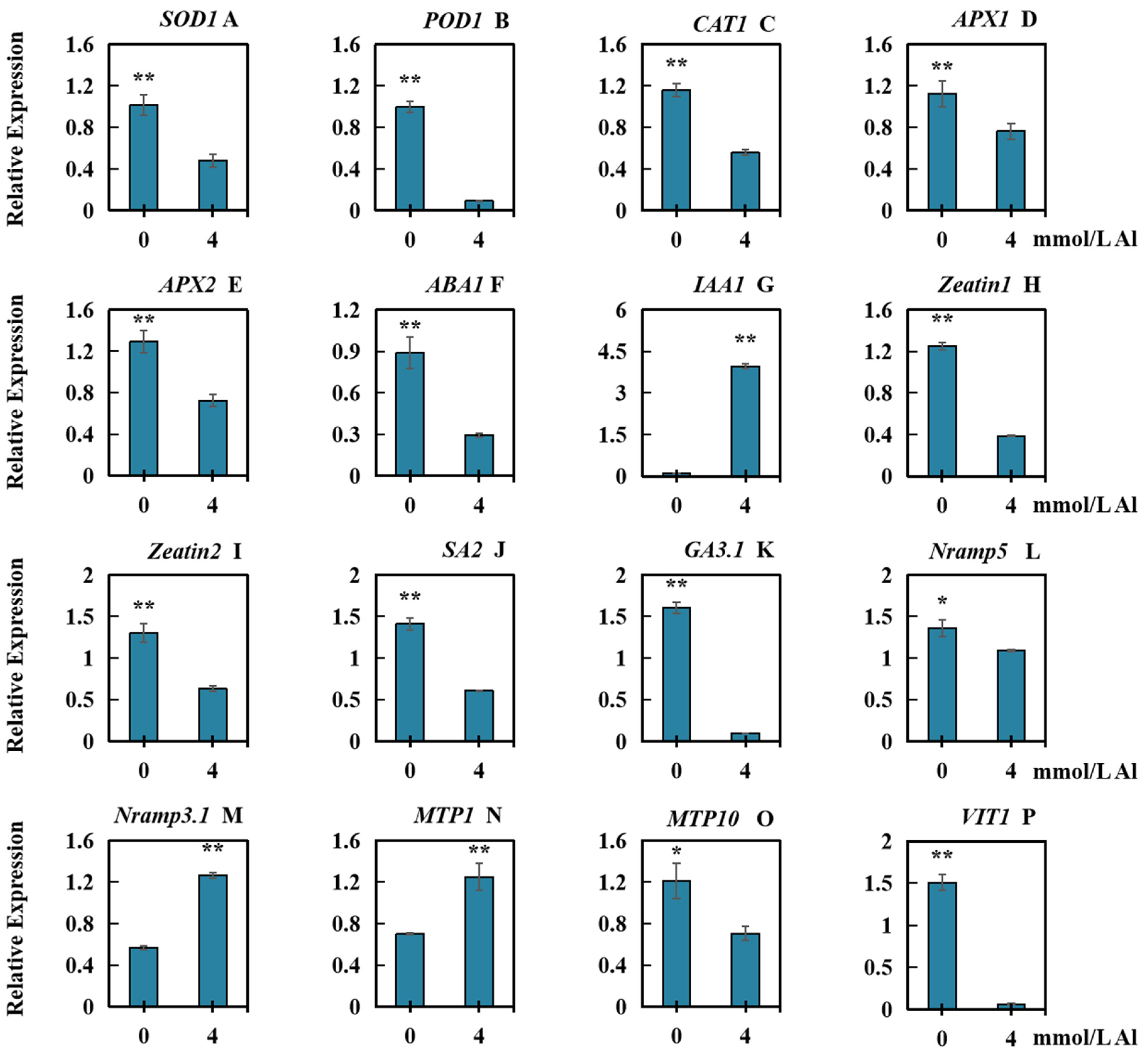 Plants 13 00325 g007