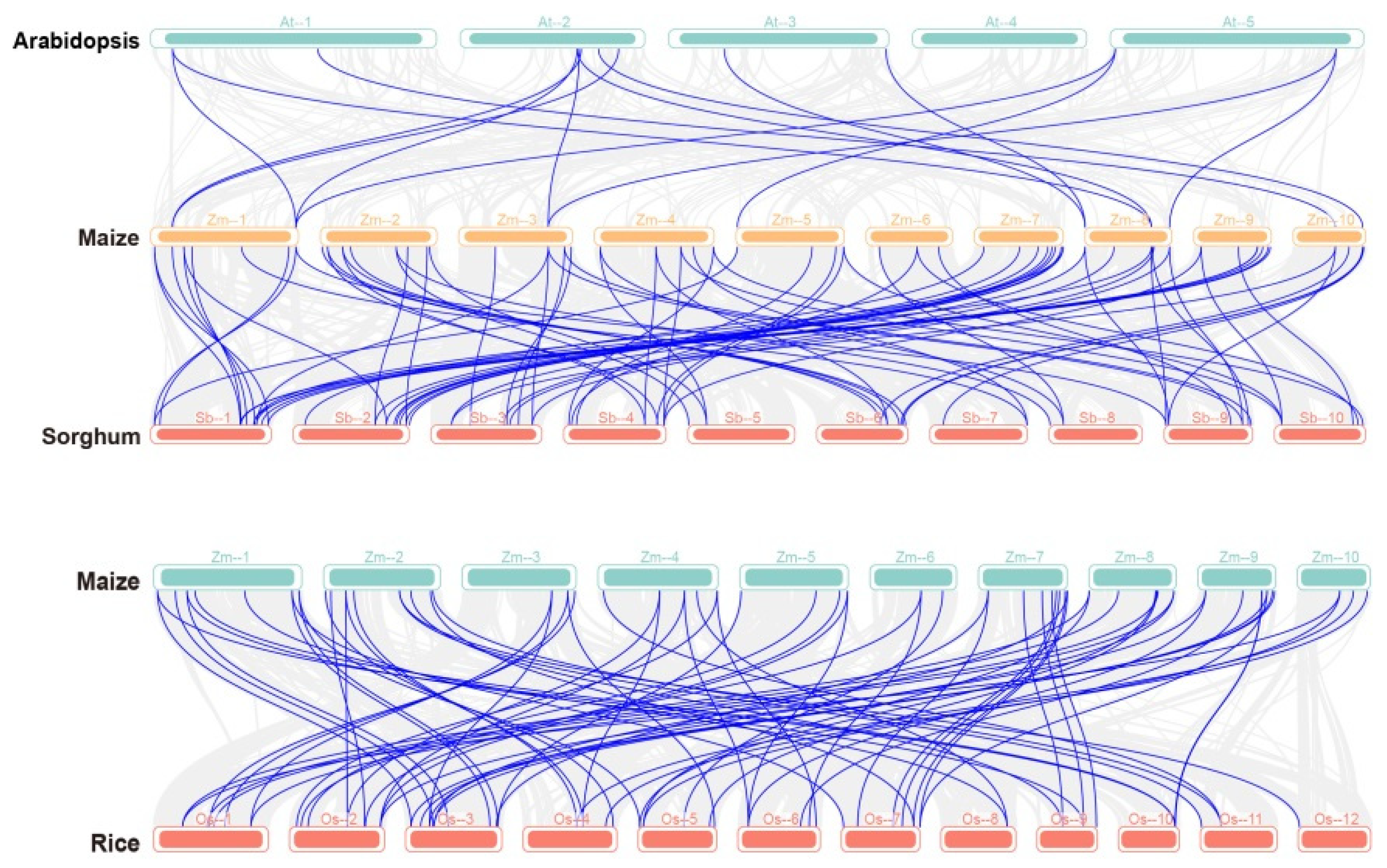 Plants 13 00340 g003