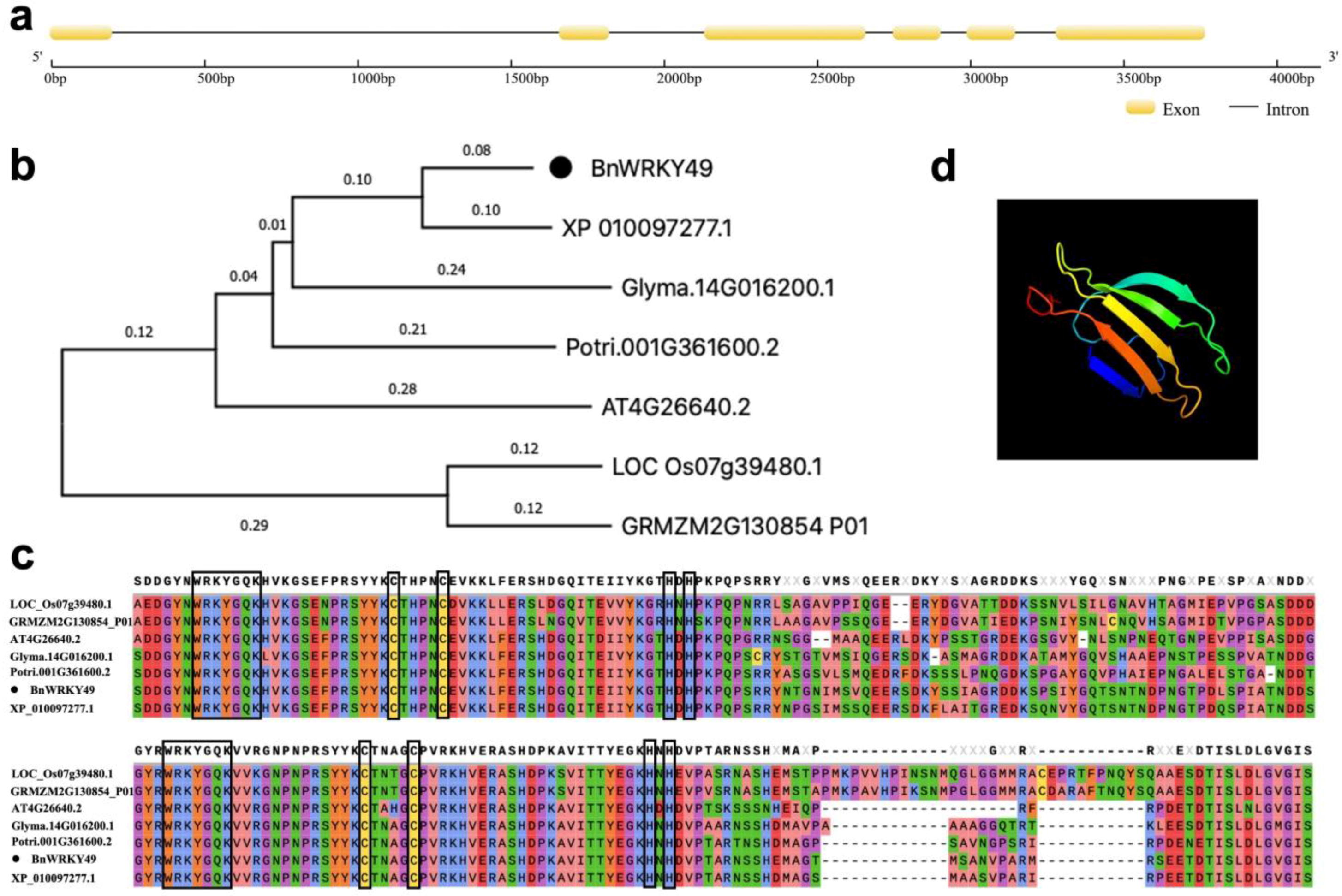 Plants 13 00379 g002