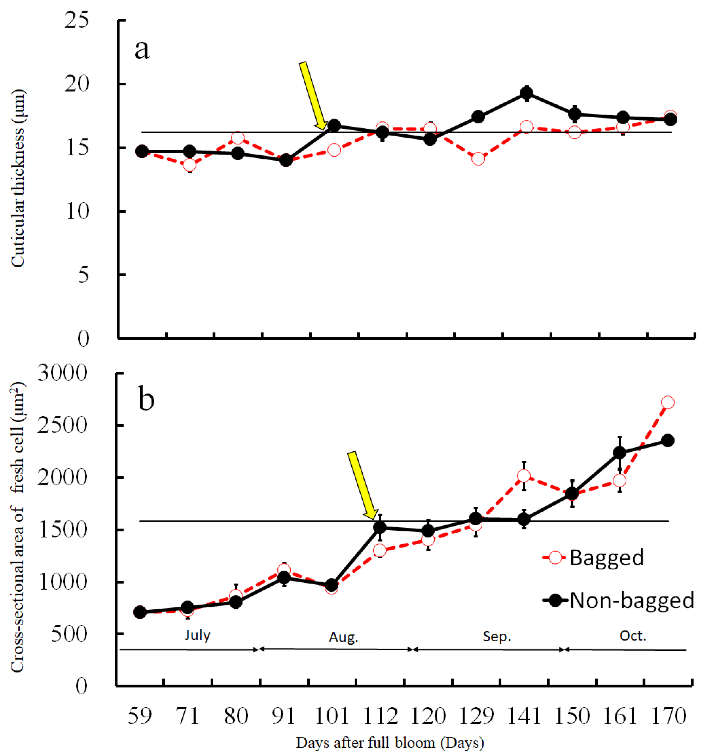 Plants 13 00381 g003