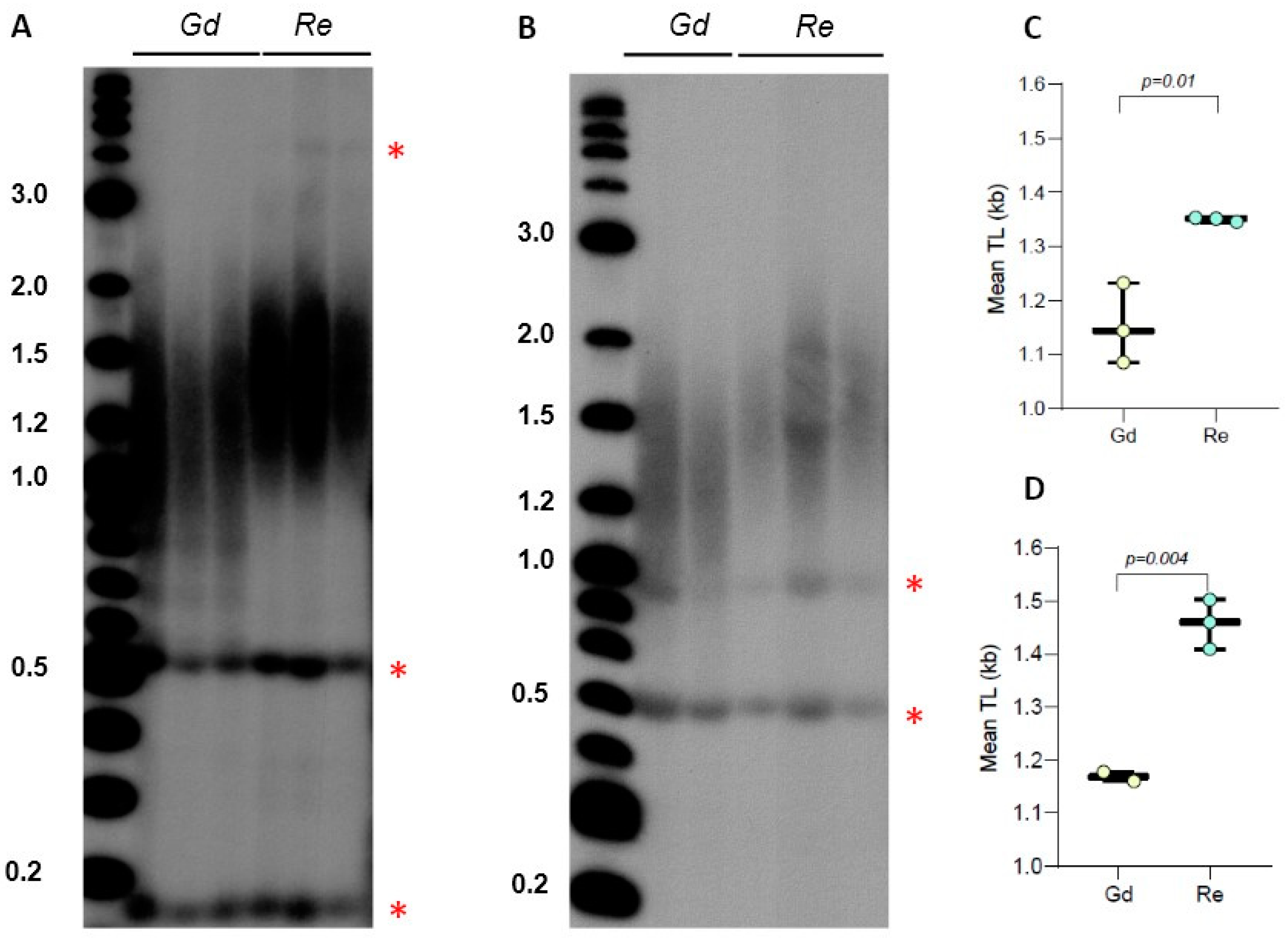 Plants 13 00387 g002