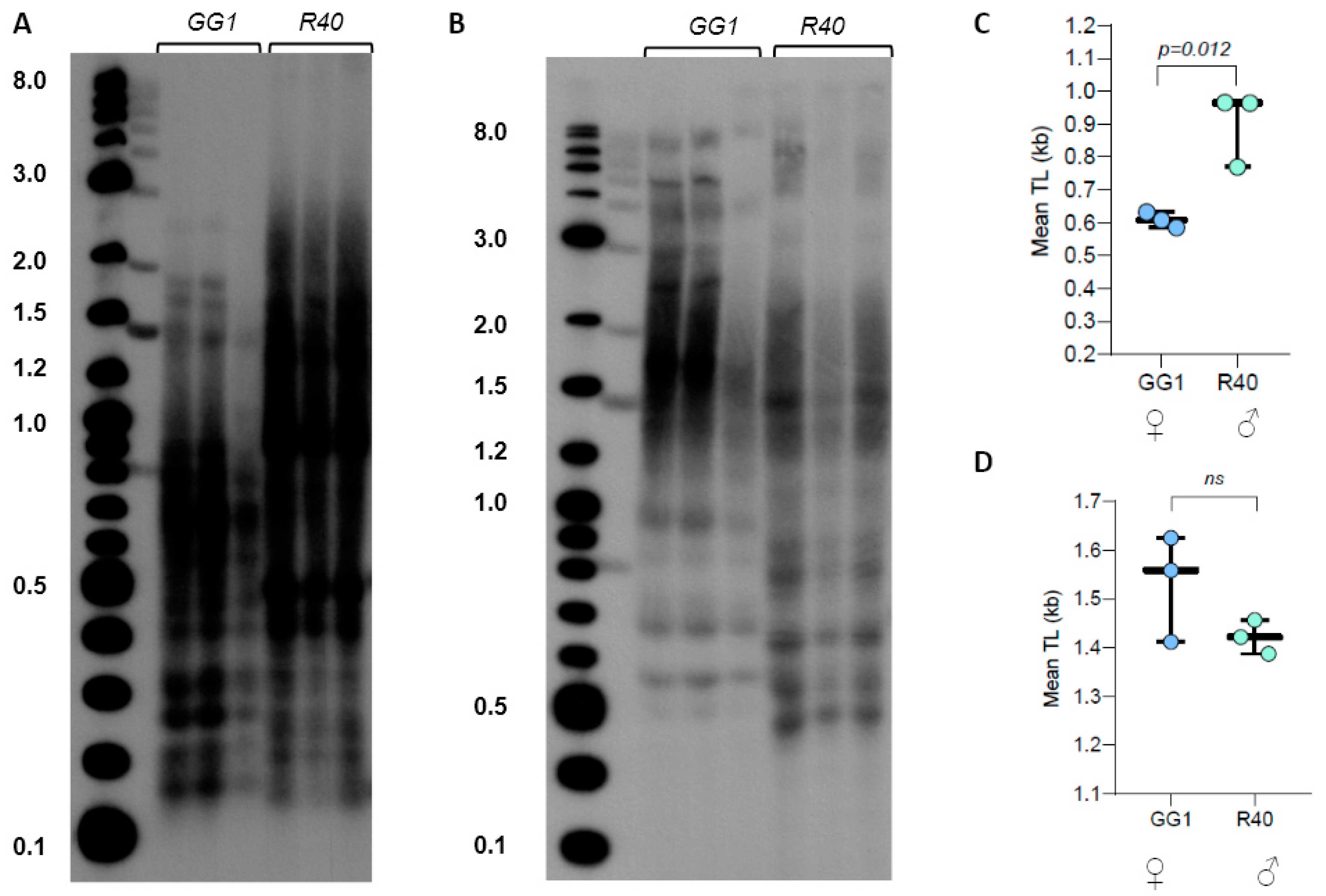 Plants 13 00387 g003