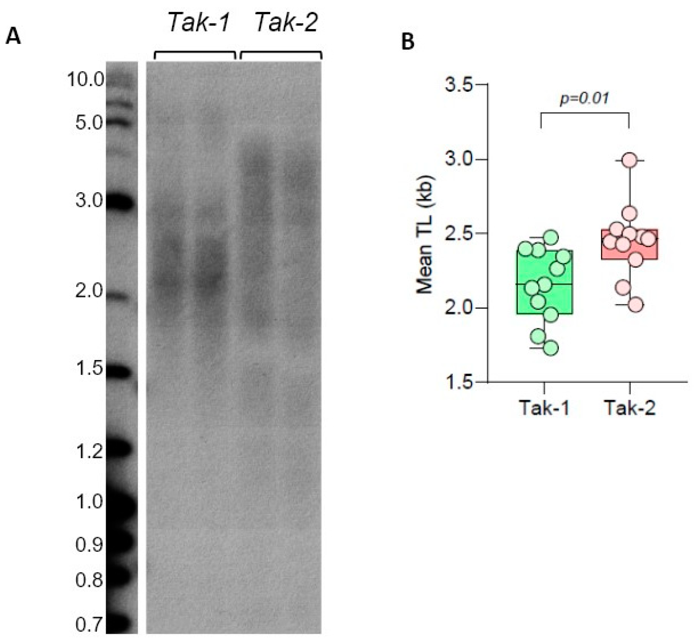 Plants 13 00387 g004