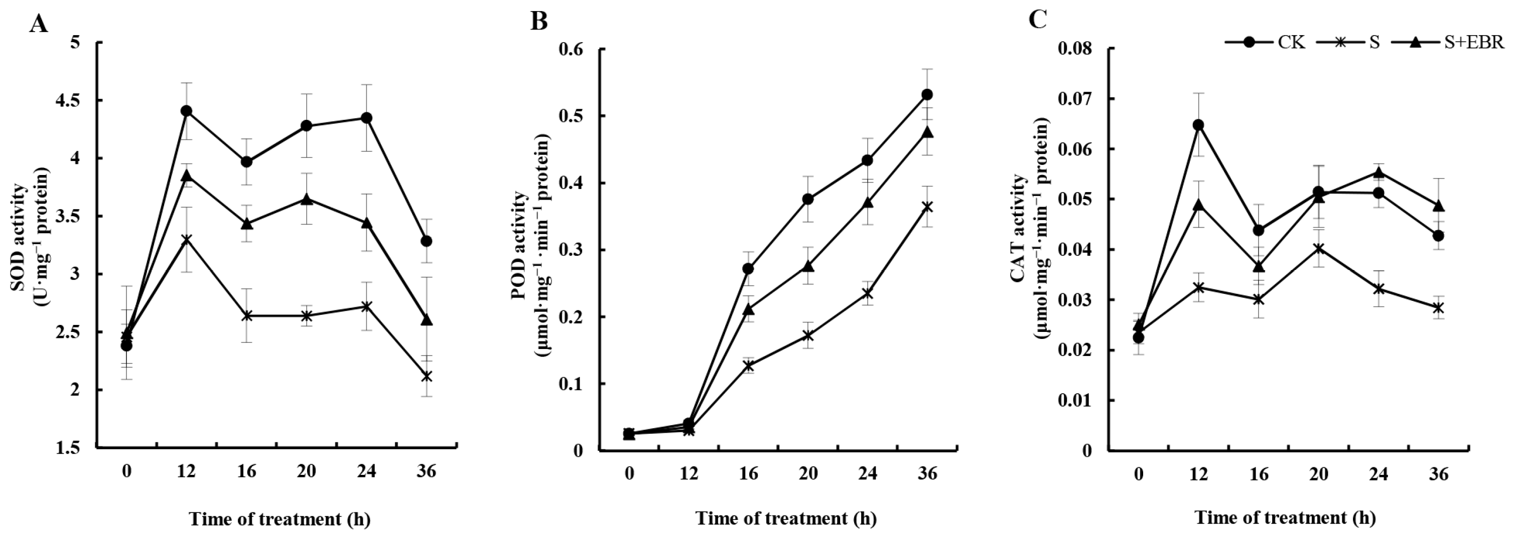 Plants 13 00394 g004
