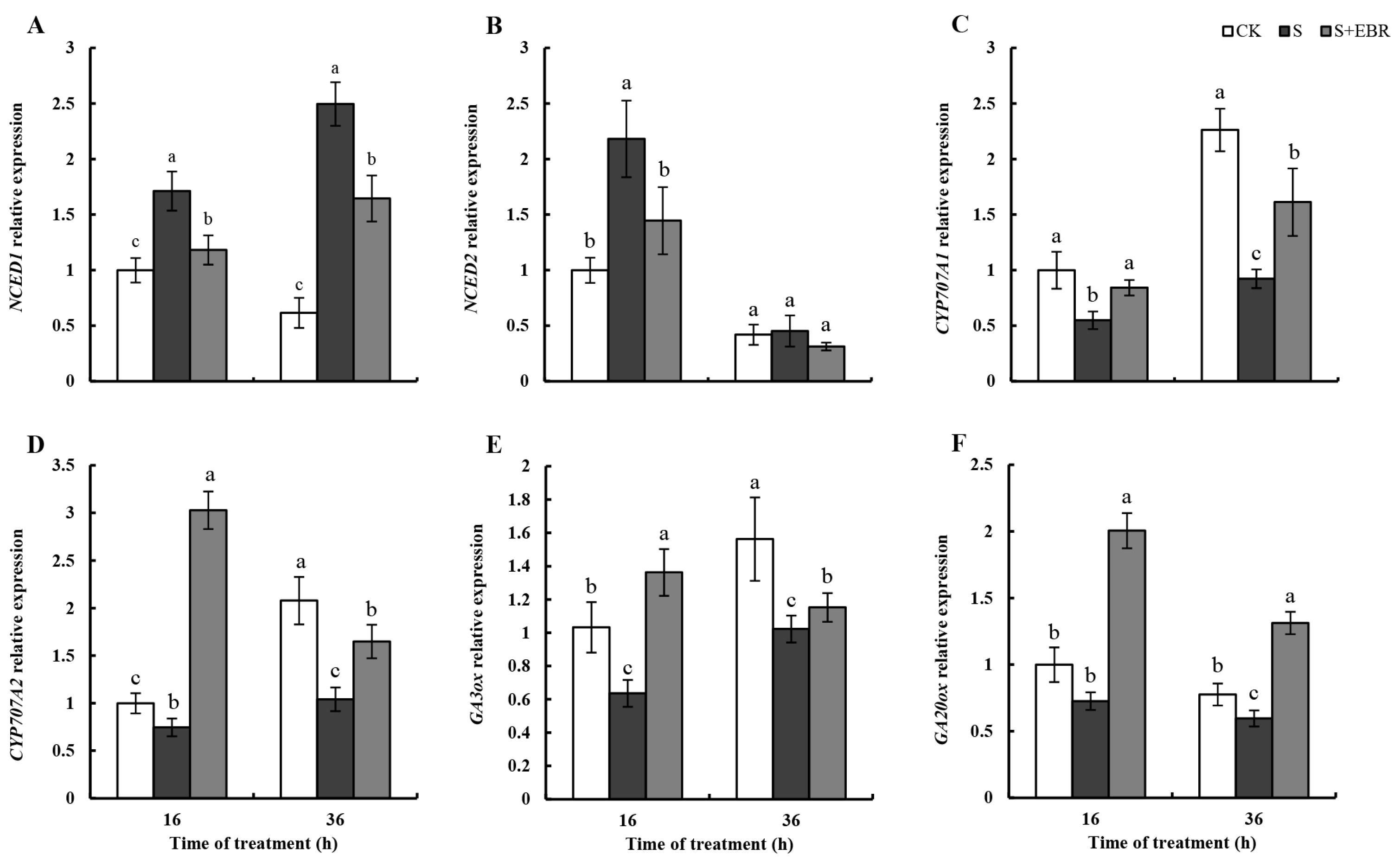 Plants 13 00394 g009