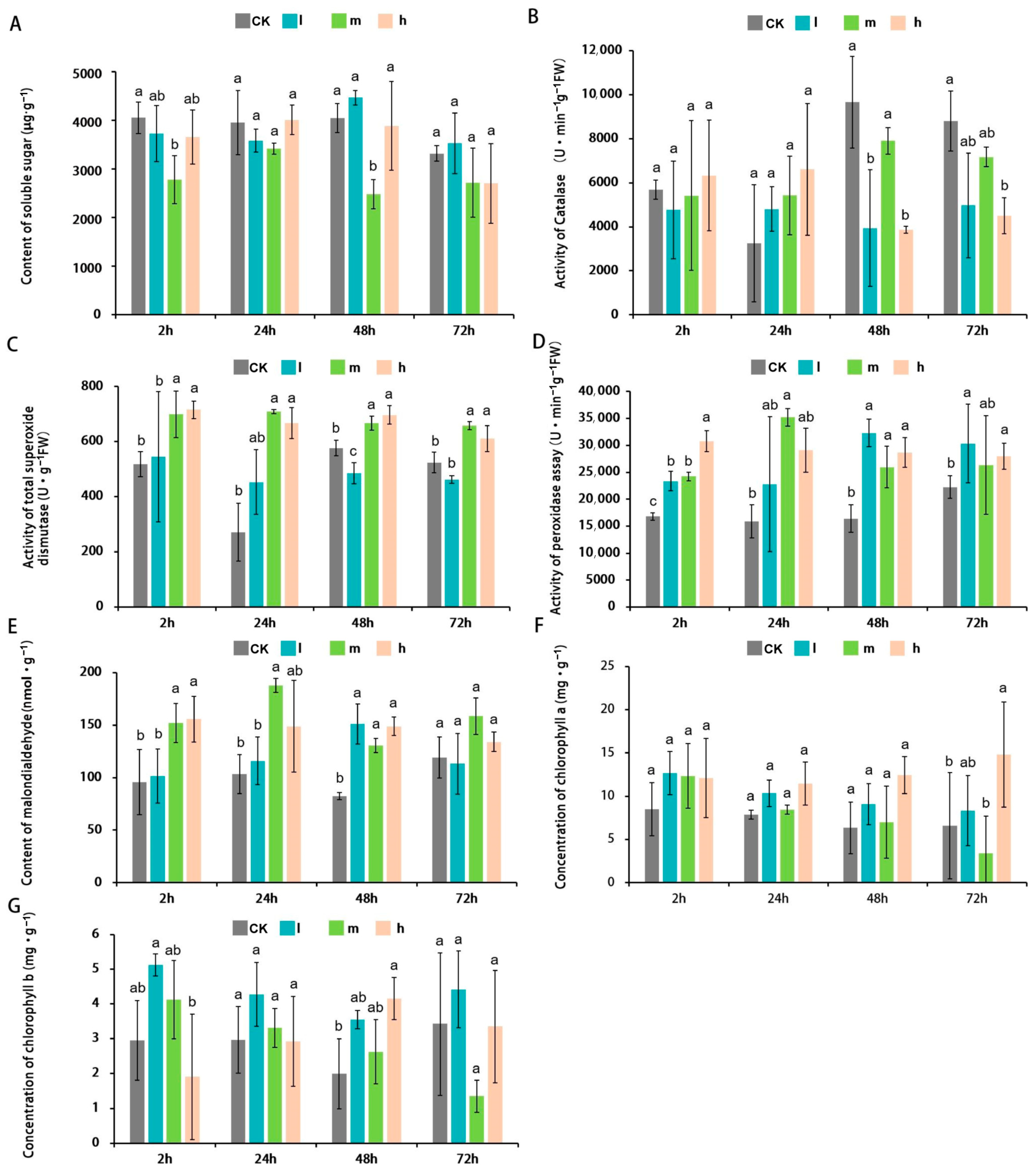 Plants 13 00397 g002