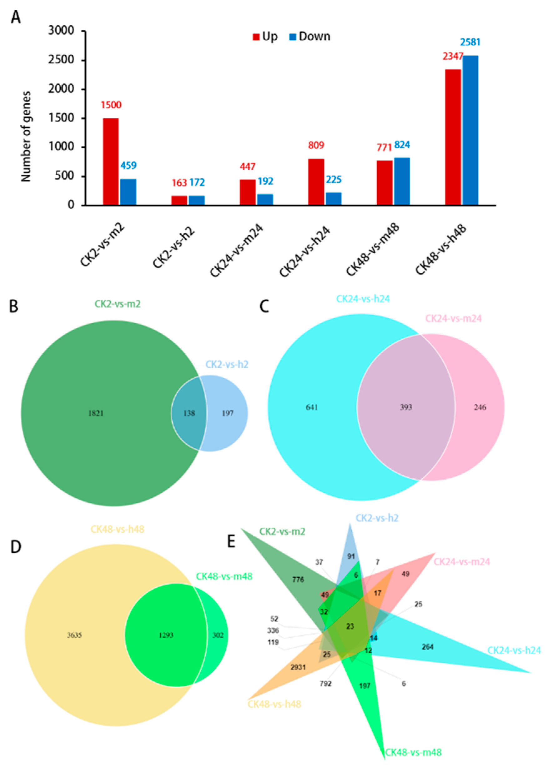 Plants 13 00397 g003