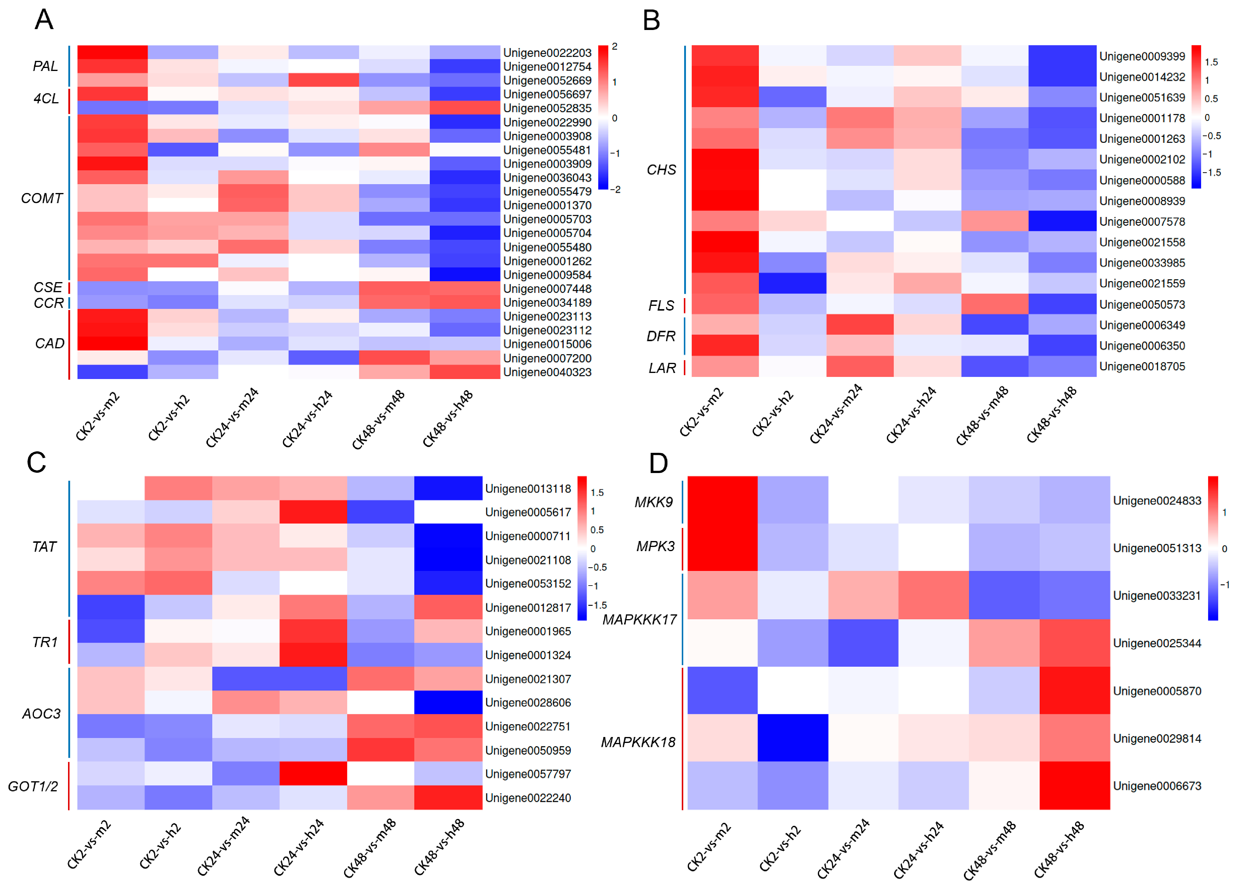 Plants 13 00397 g007