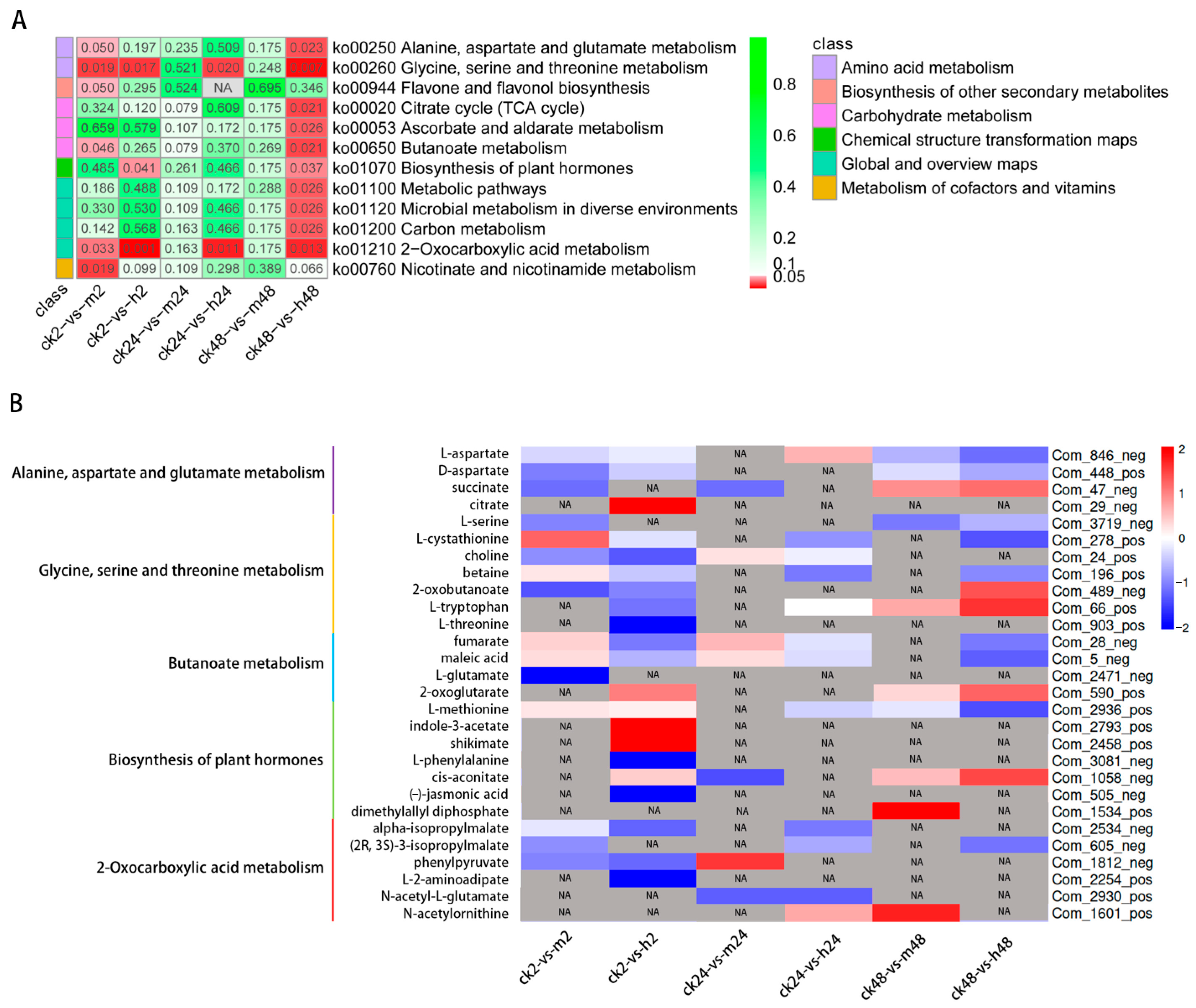 Plants 13 00397 g008