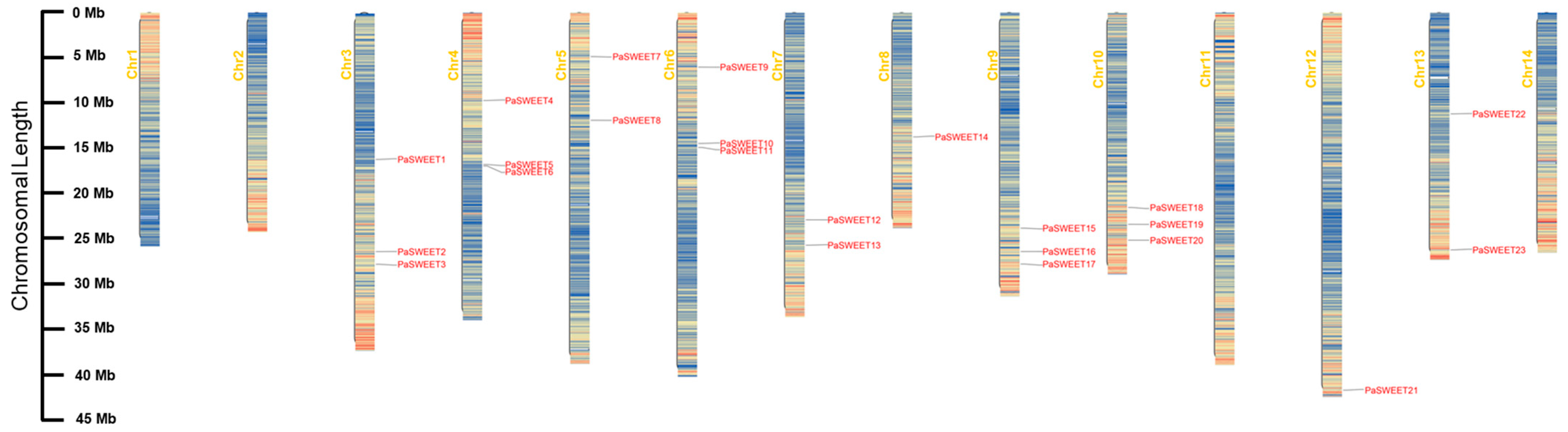 Plants 13 00406 g001