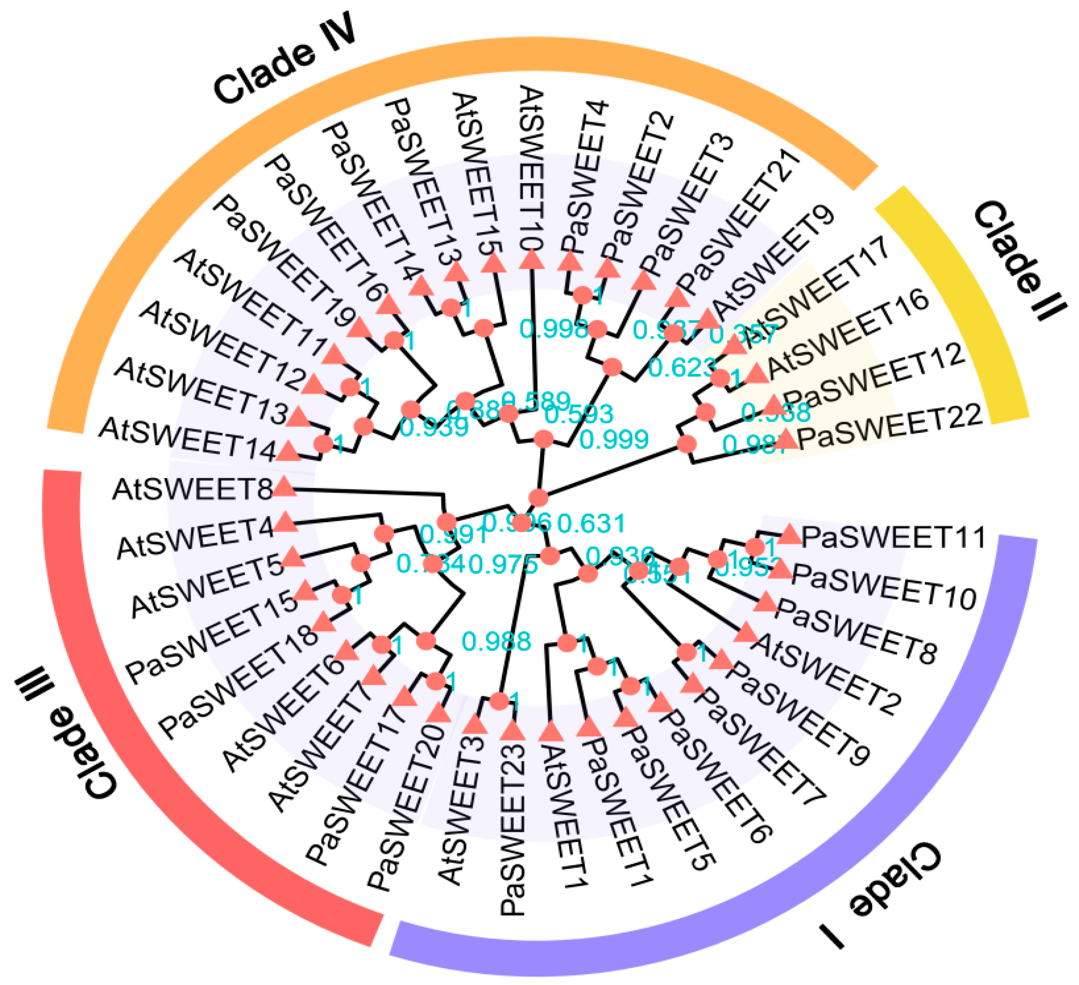 Plants 13 00406 g002