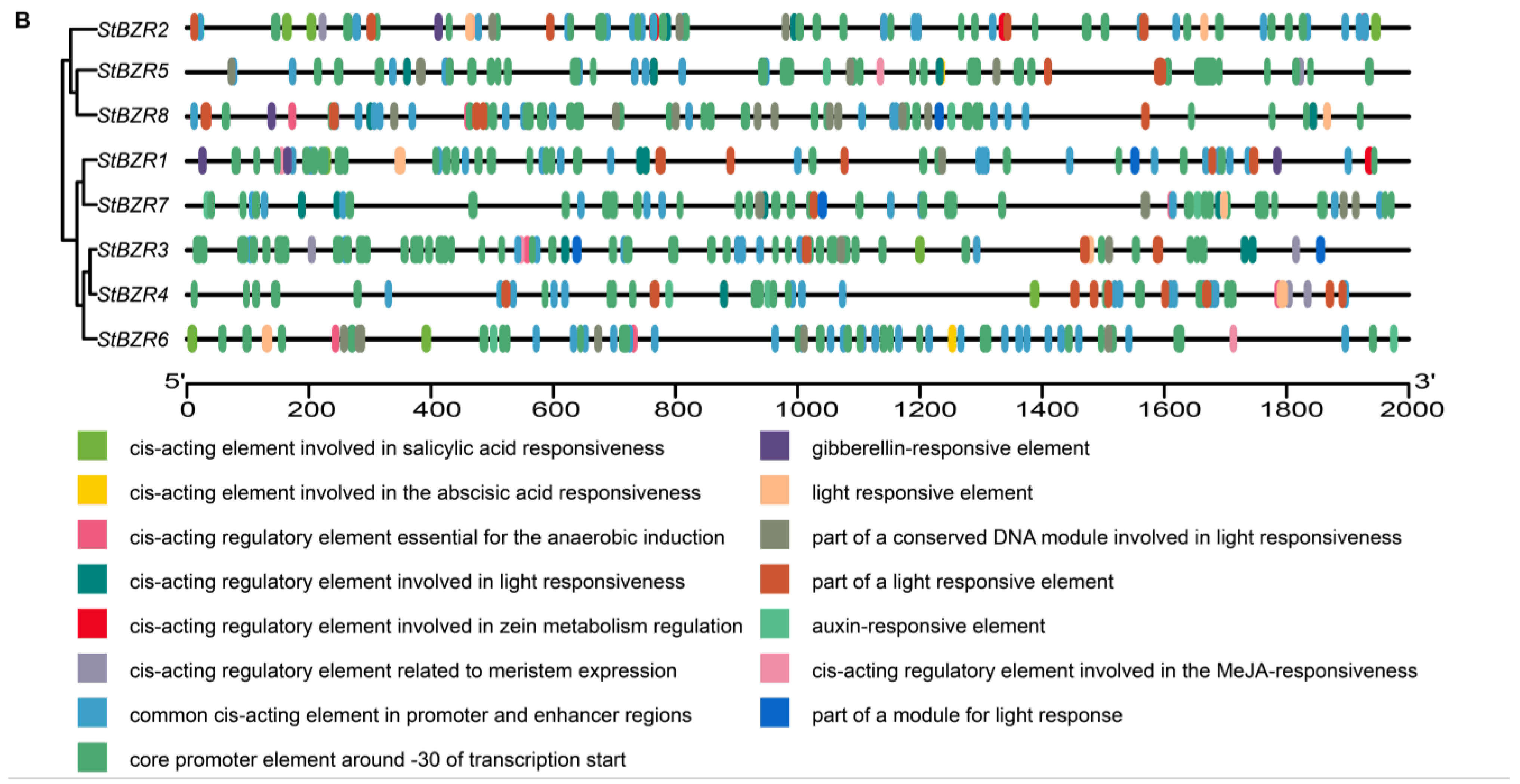 Plants 13 00407 g006b