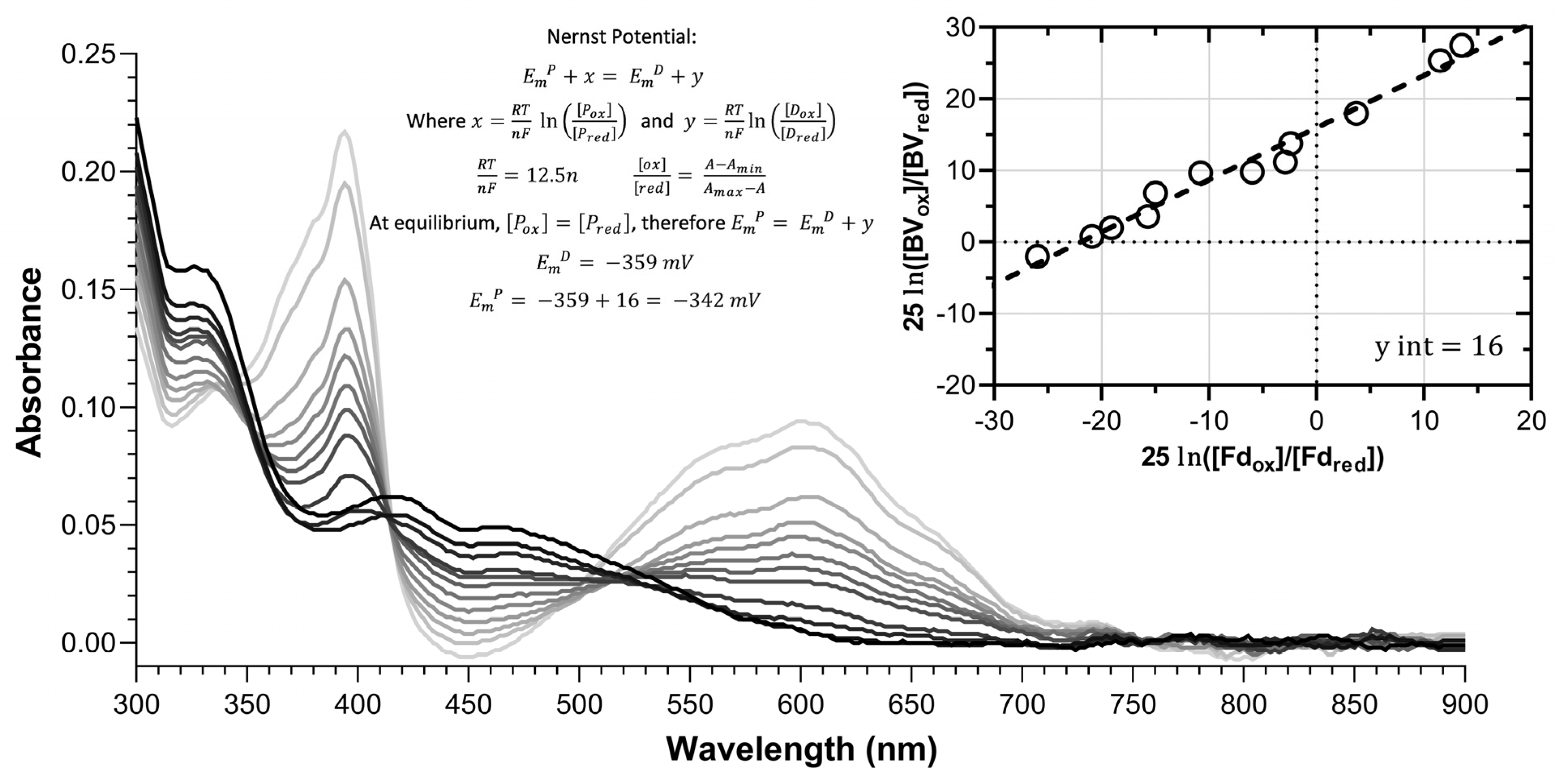 Plants 13 00409 g002 Plants 13 00409 g002
