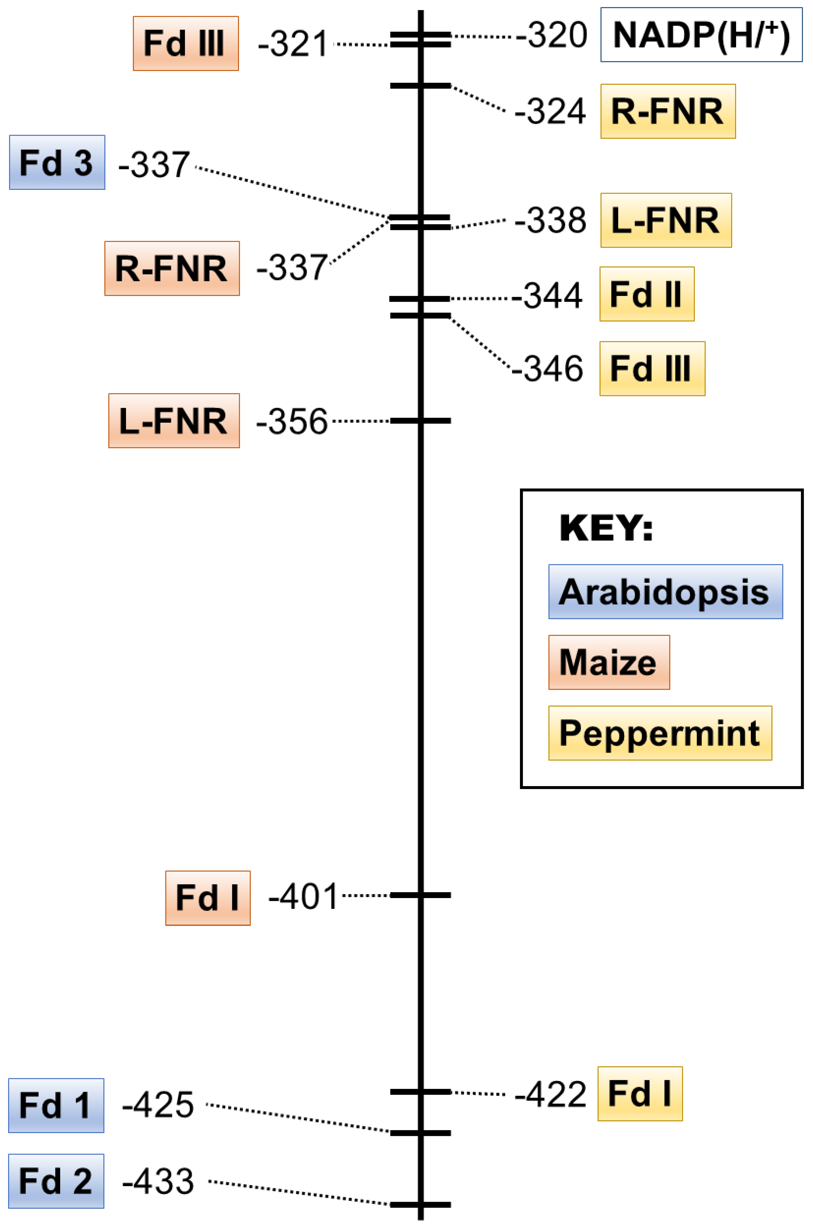 Plants 13 00409 g003 Plants 13 00409 g003