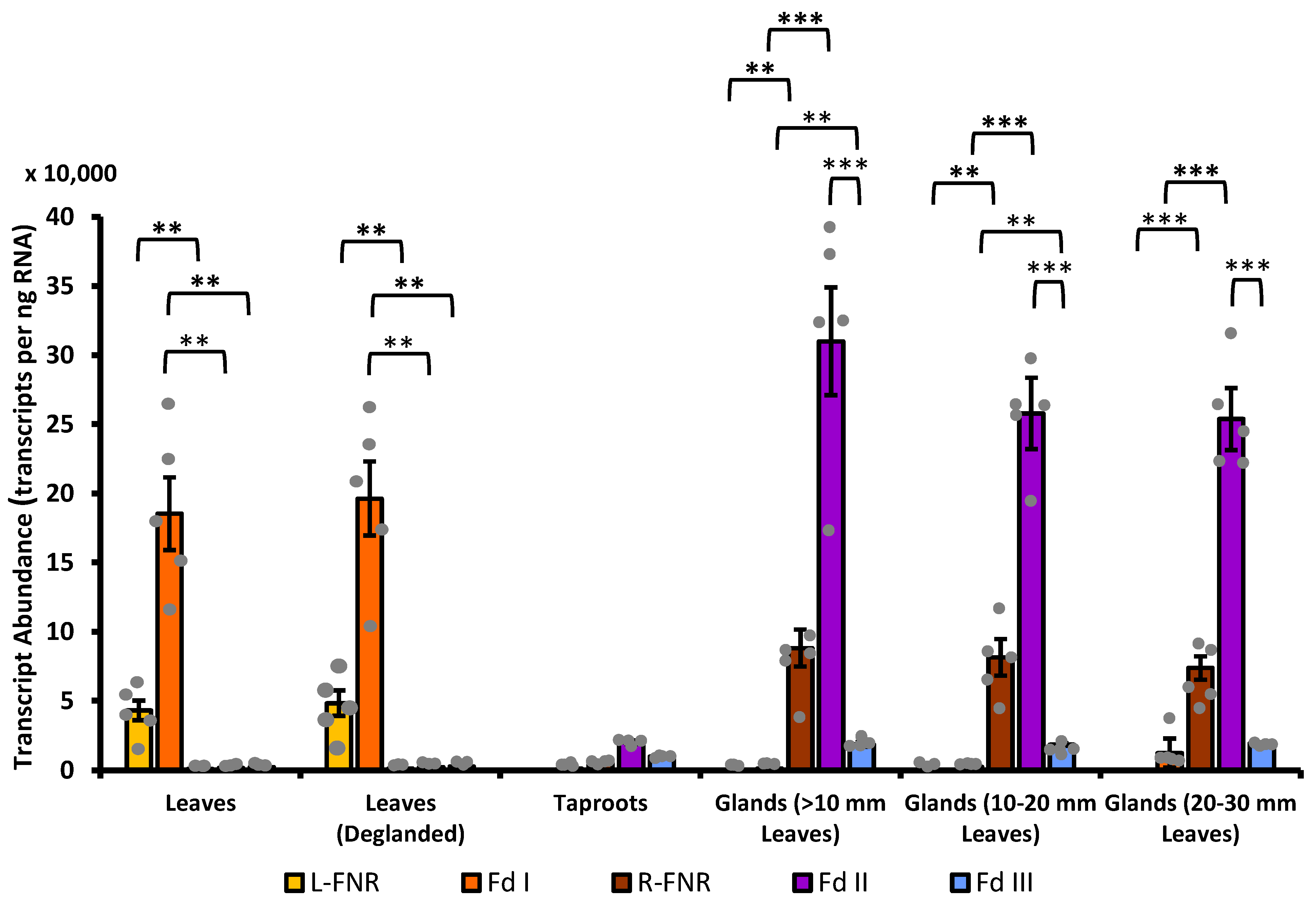Plants 13 00409 g007 Plants 13 00409 g007