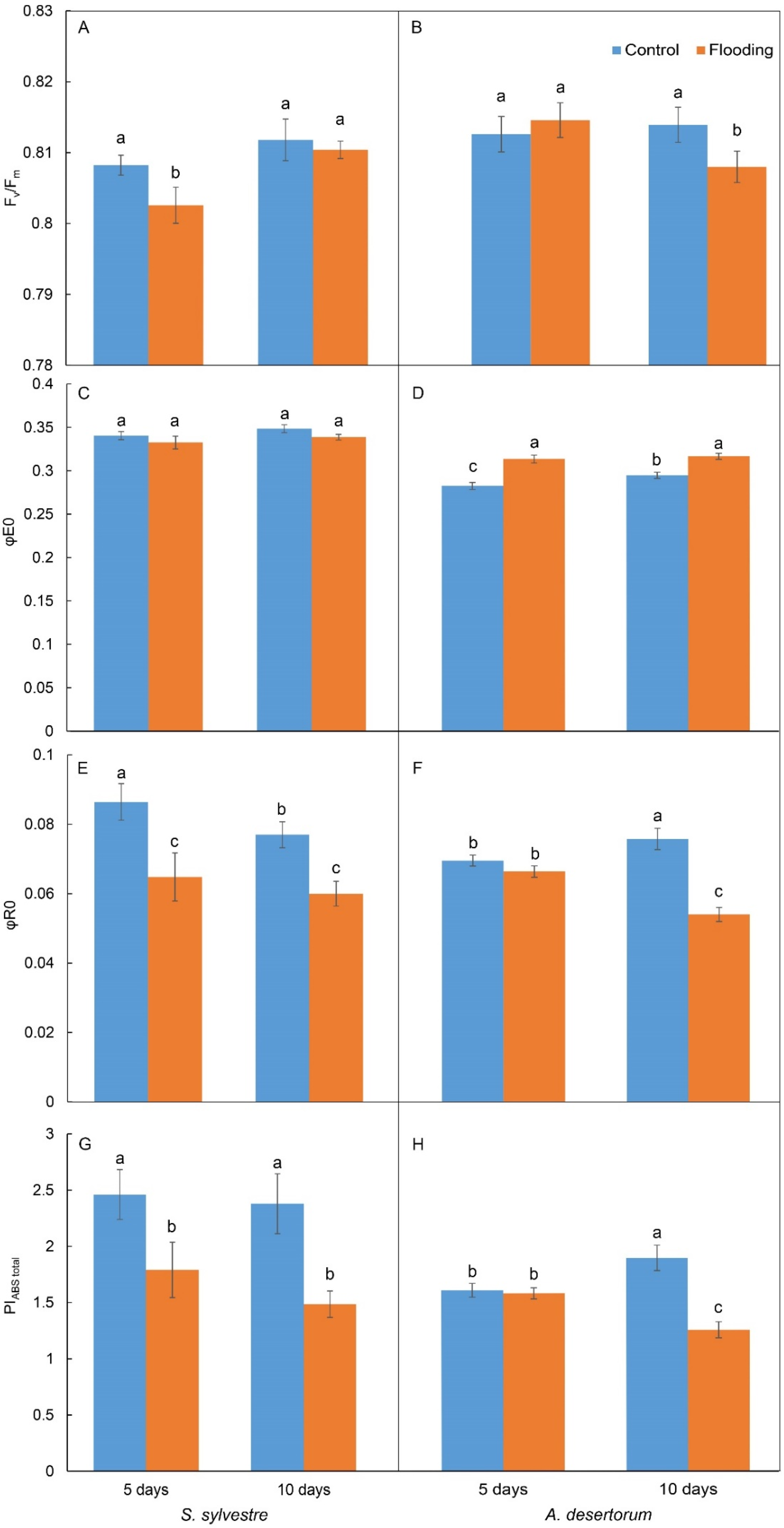 Plants 13 00413 g005