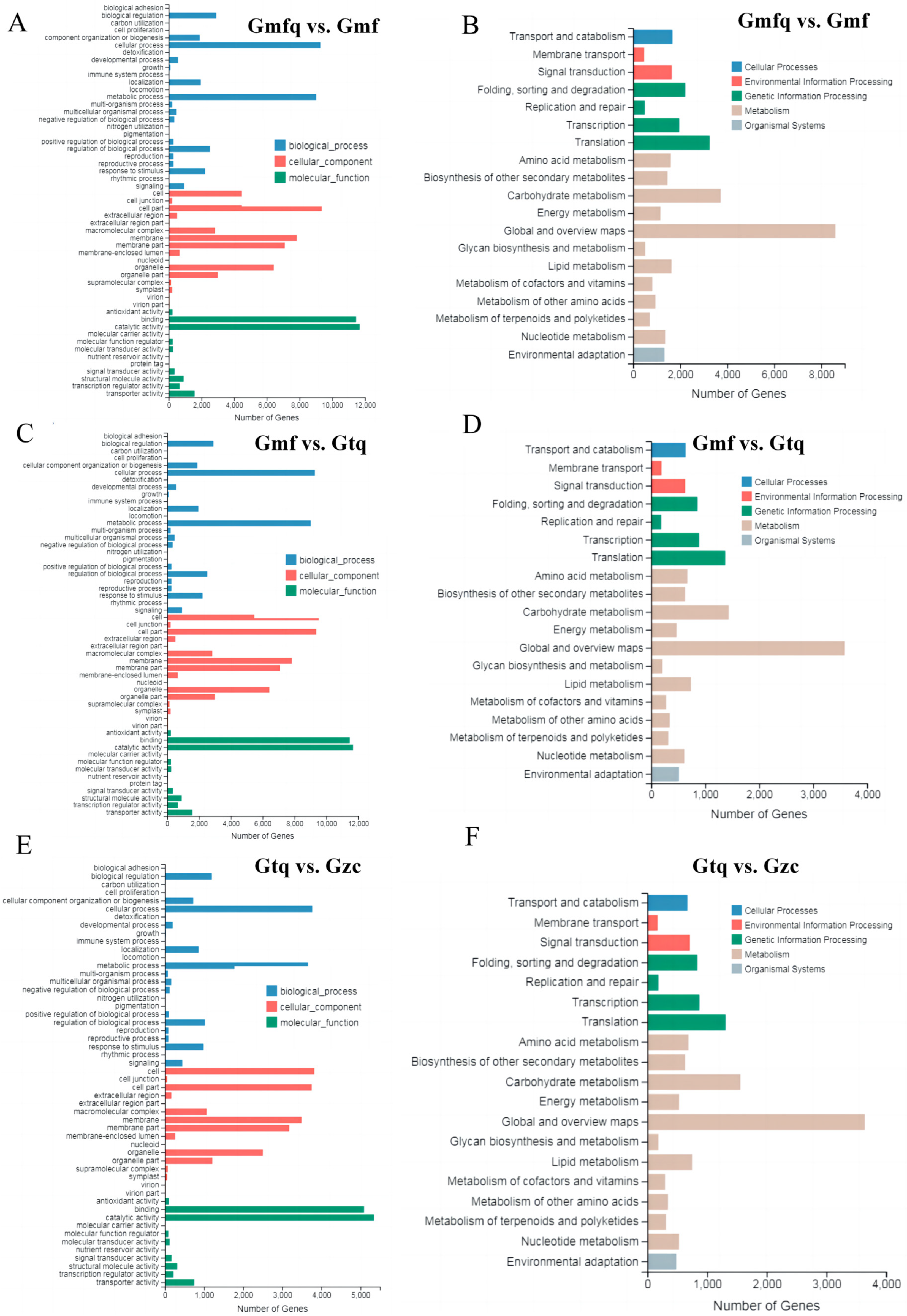 Plants 13 00421 g002