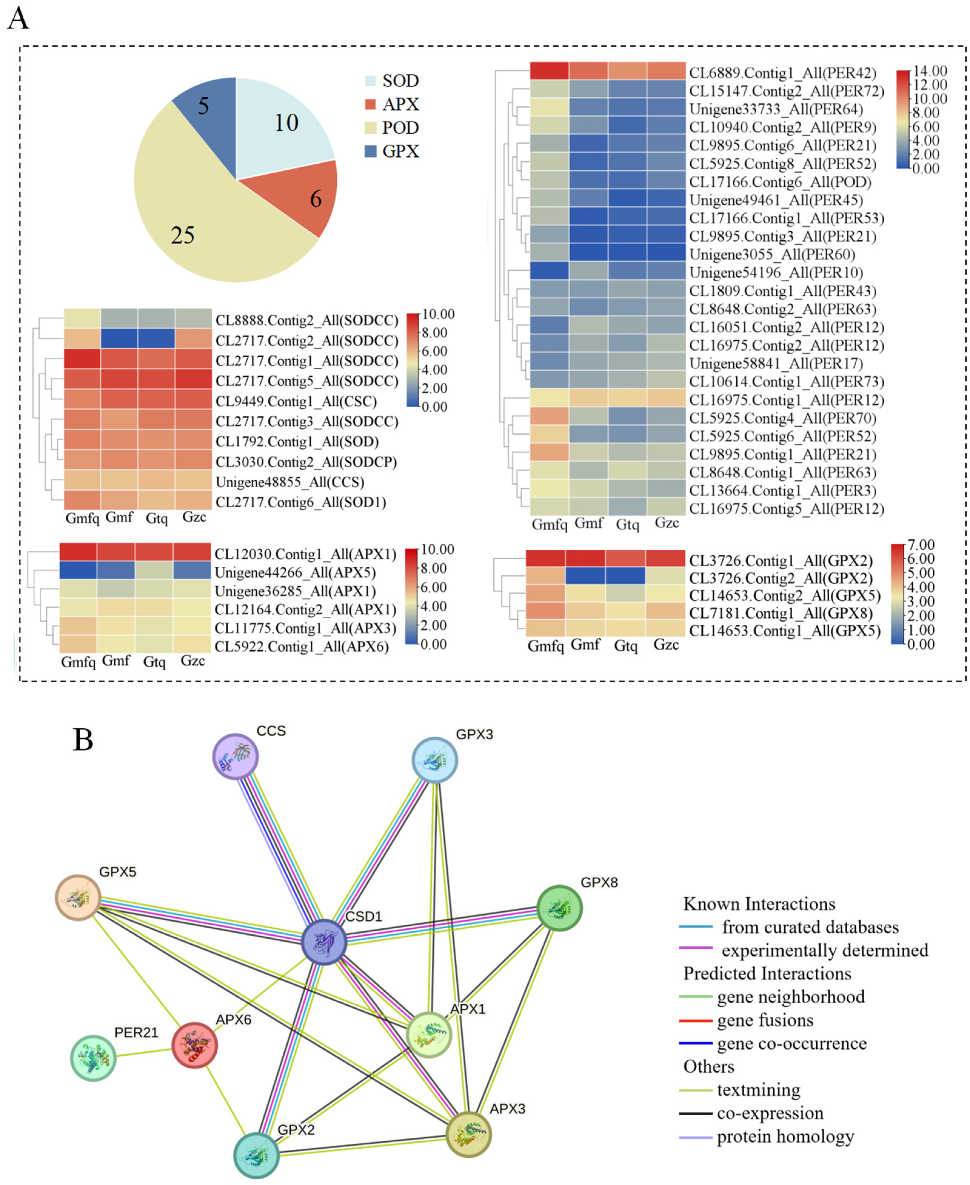 Plants 13 00421 g003