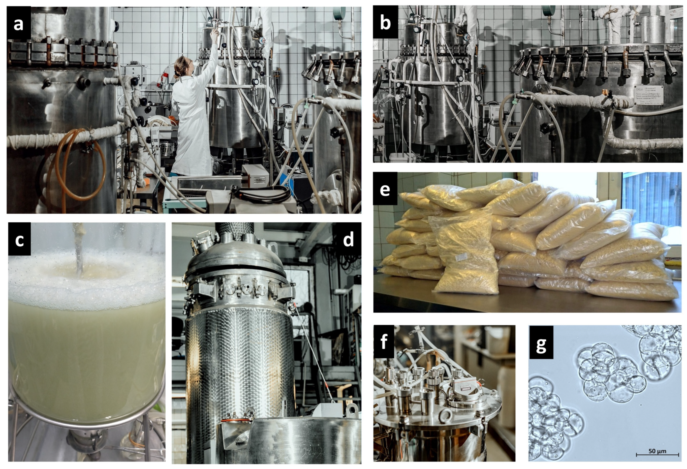 Plants 13 00430 g002