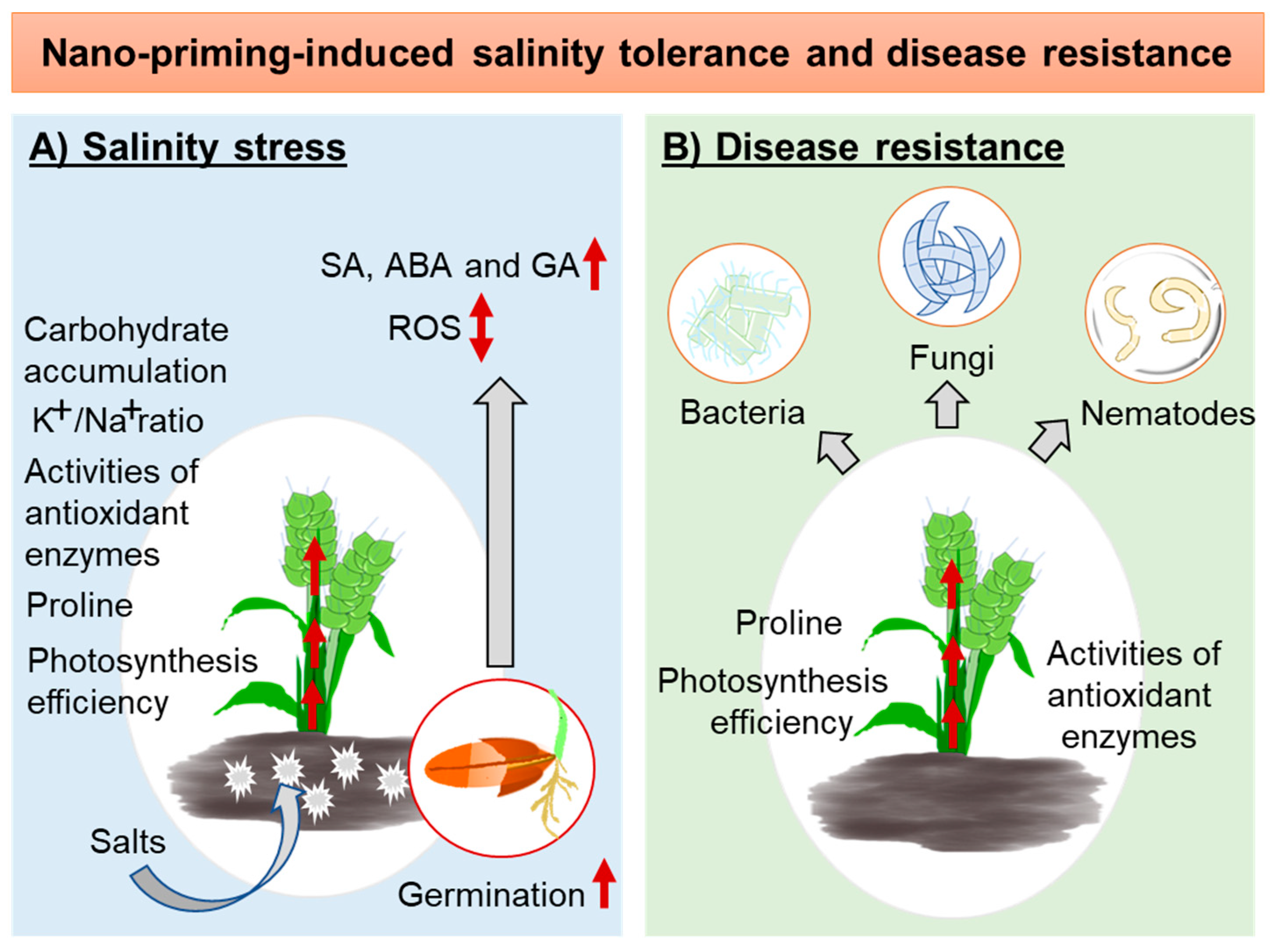 Plants 13 00446 g003
