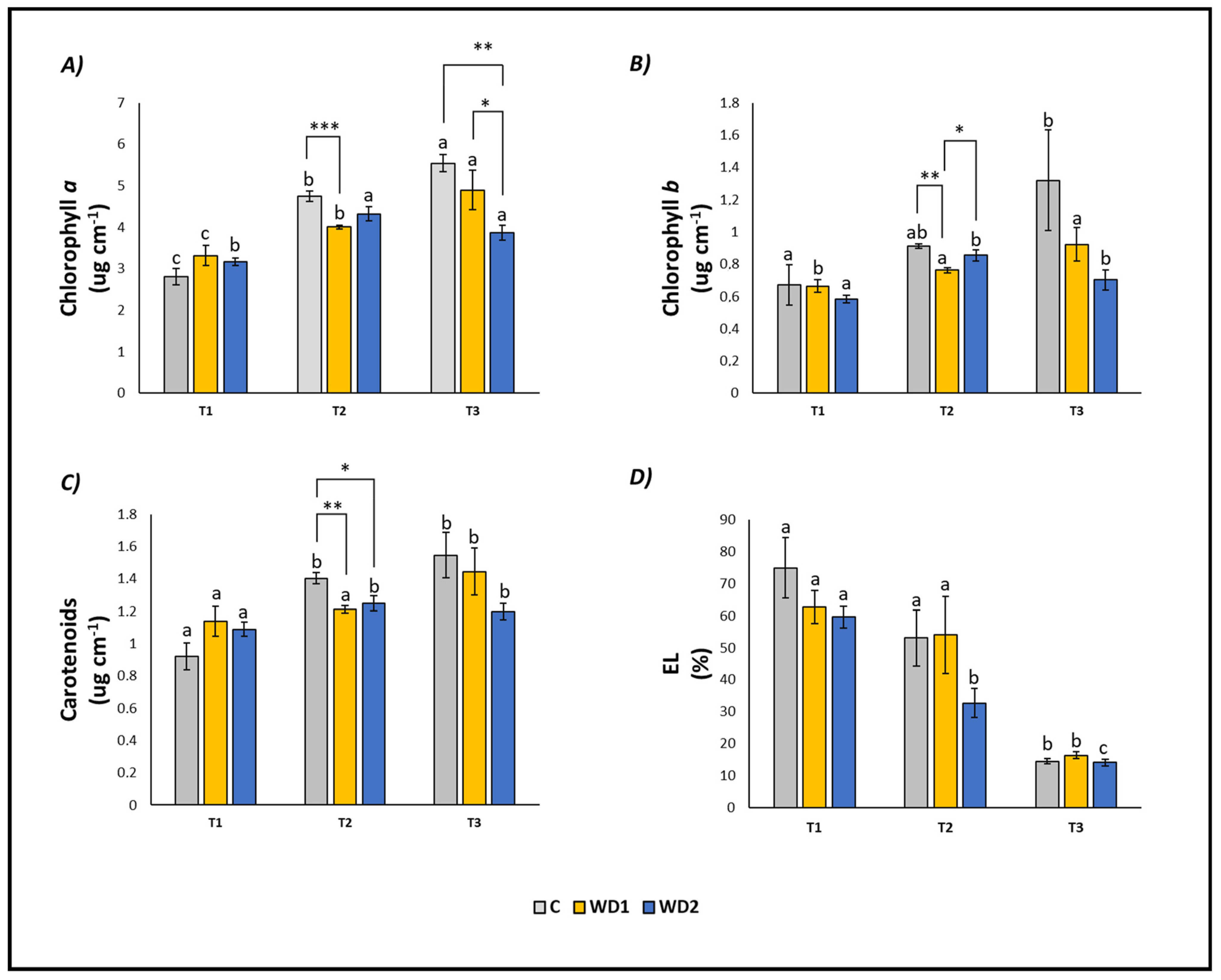 Plants 13 00447 g002