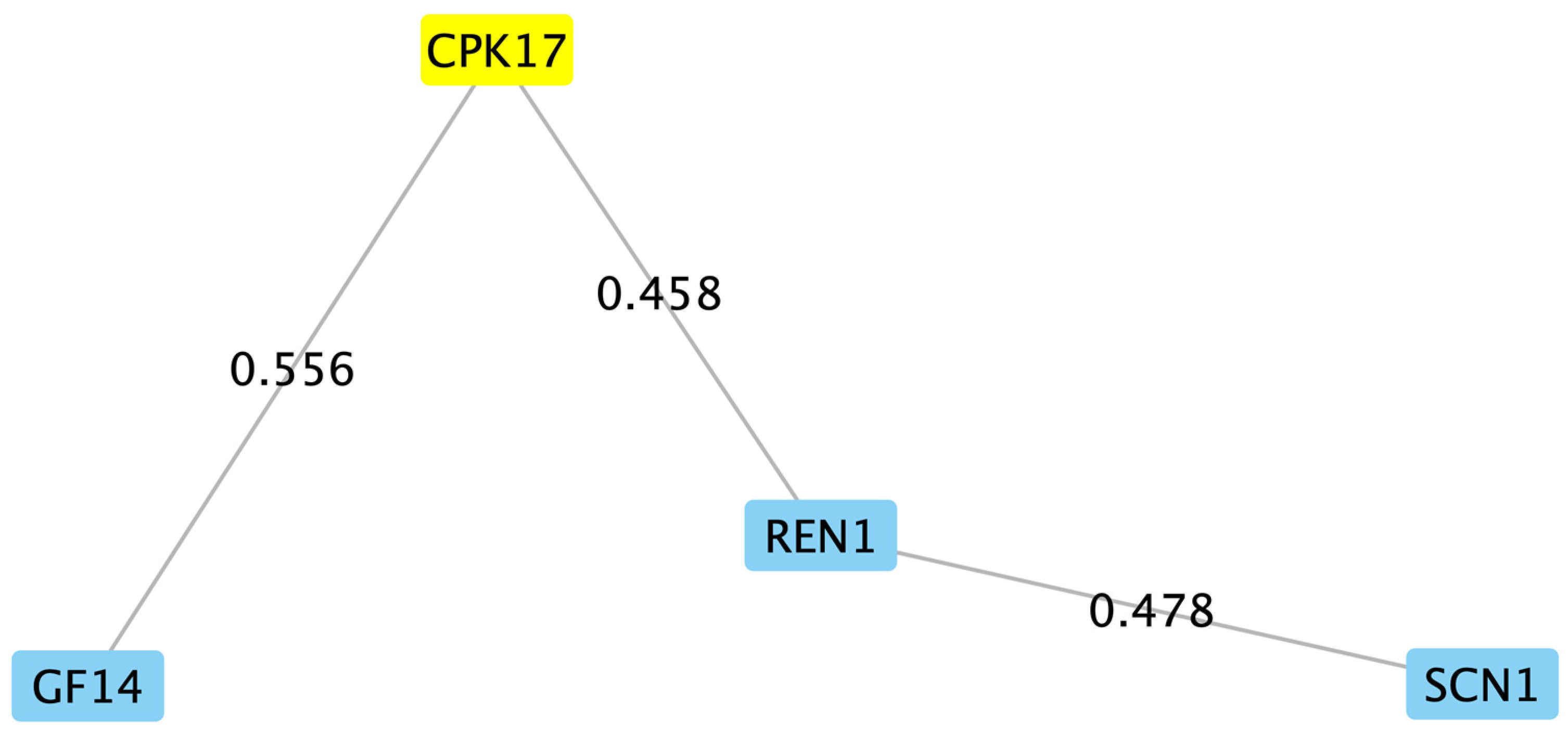 Plants 13 00451 g002