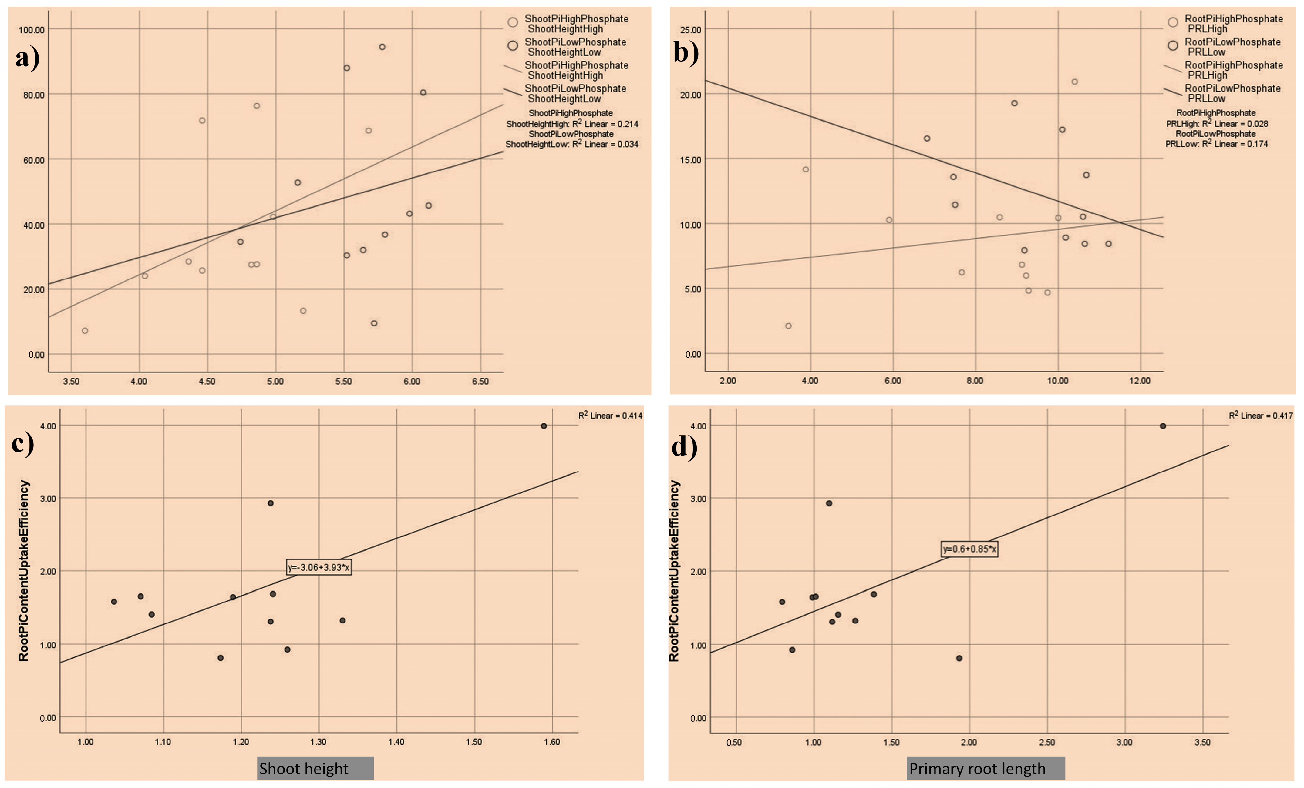 Plants 13 00457 g002