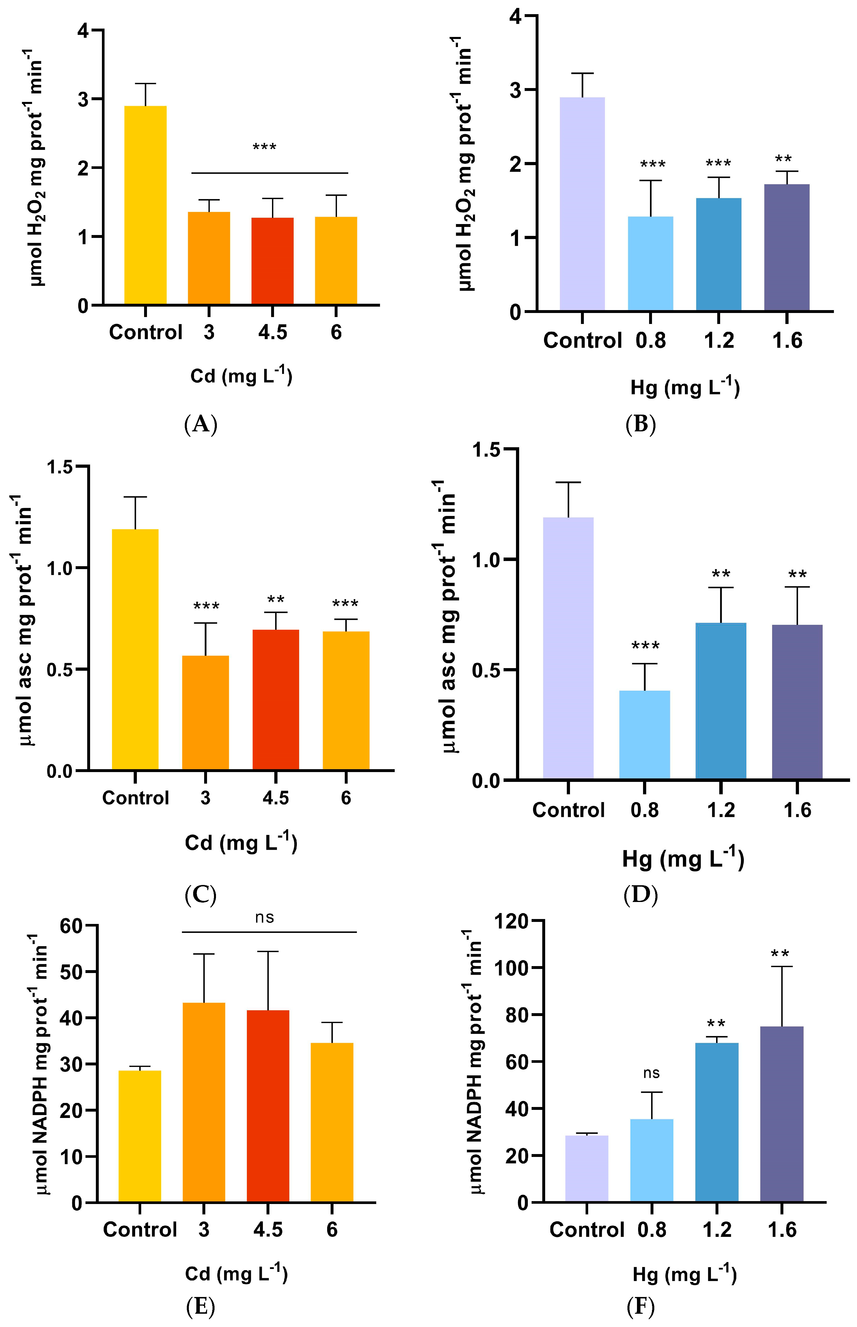 Plants 13 00464 g002