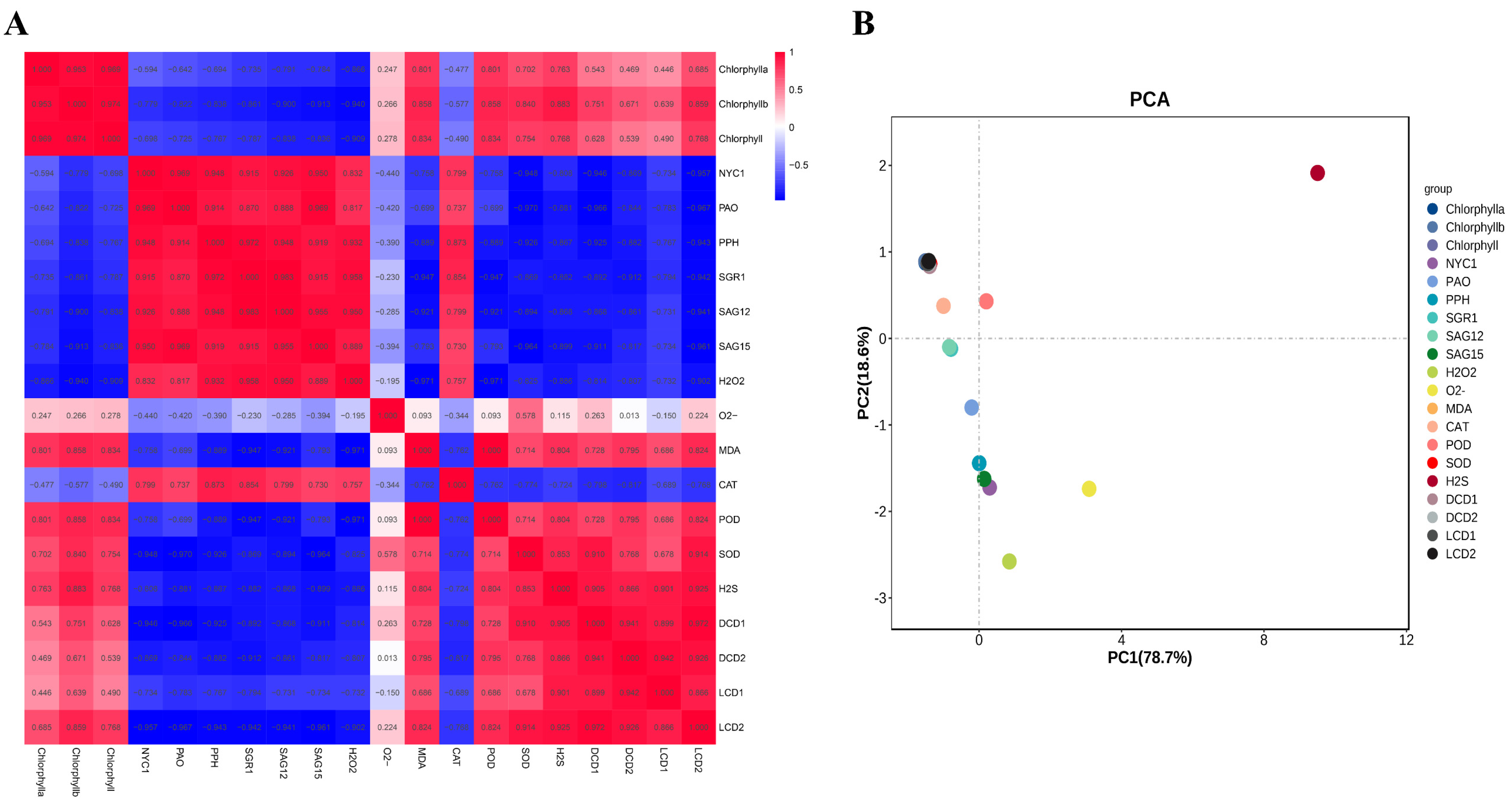 Plants 13 00475 g005