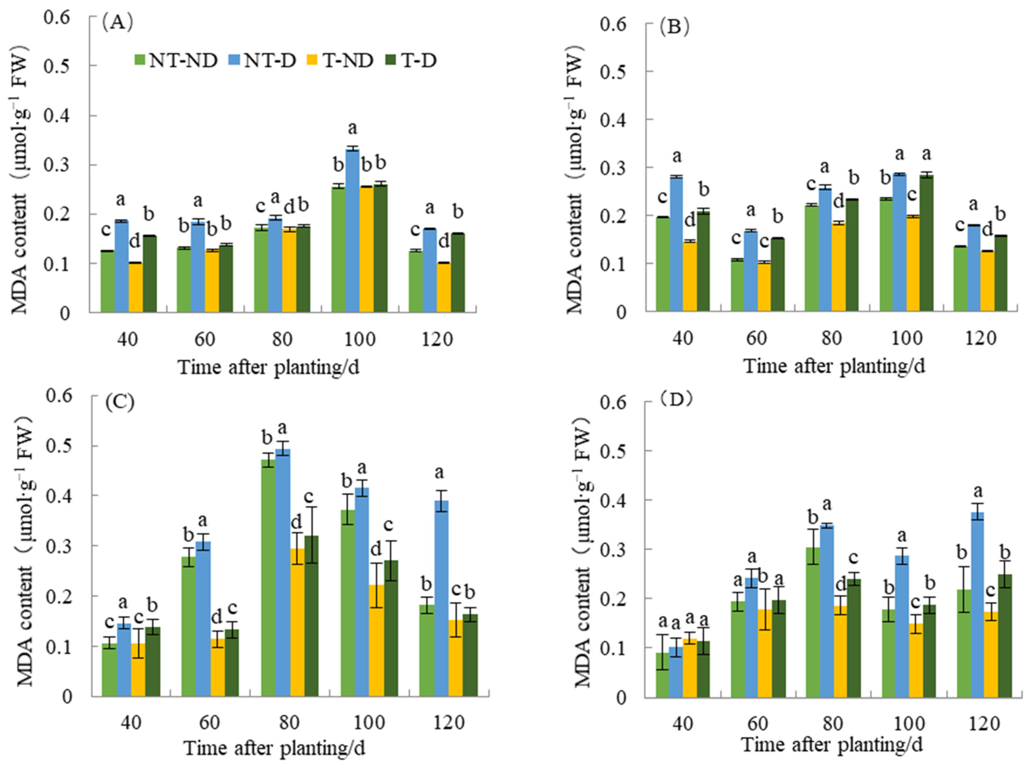 Plants 13 00477 g005