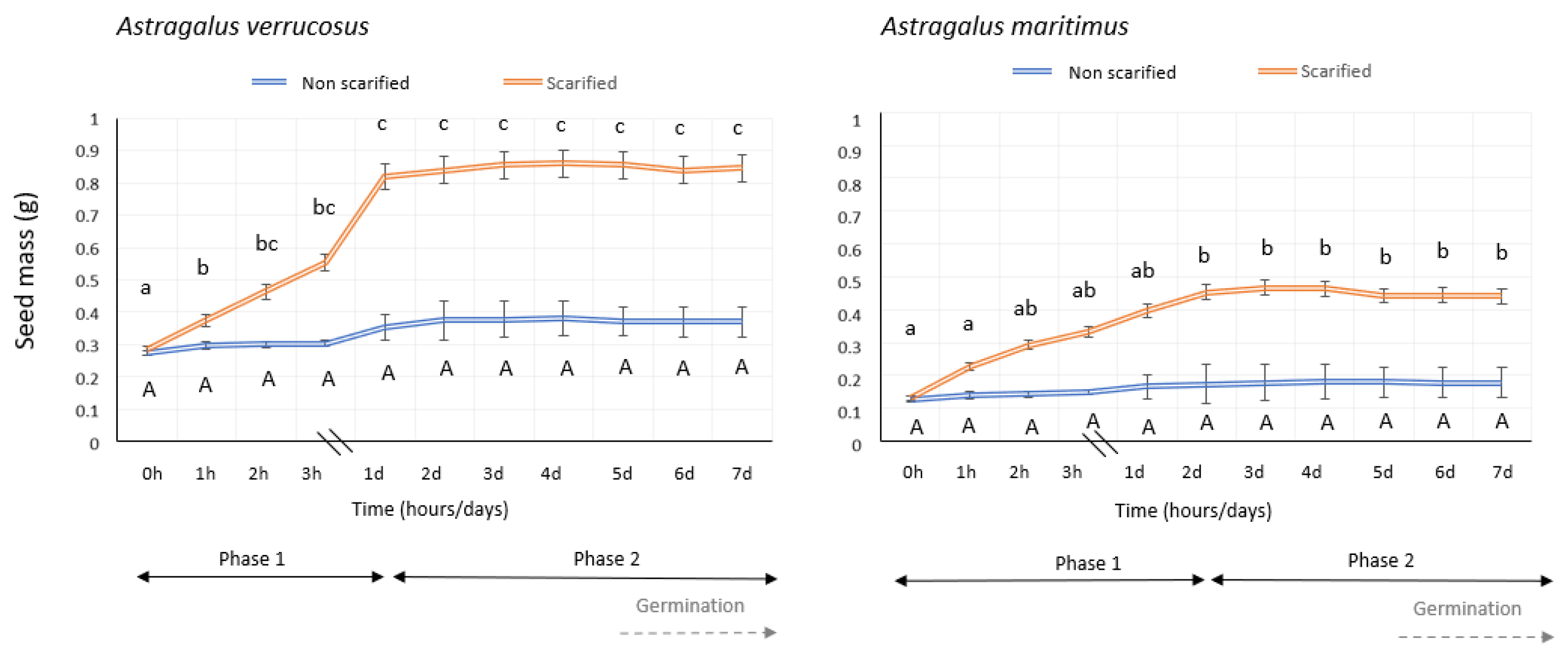 Plants 13 00484 g001