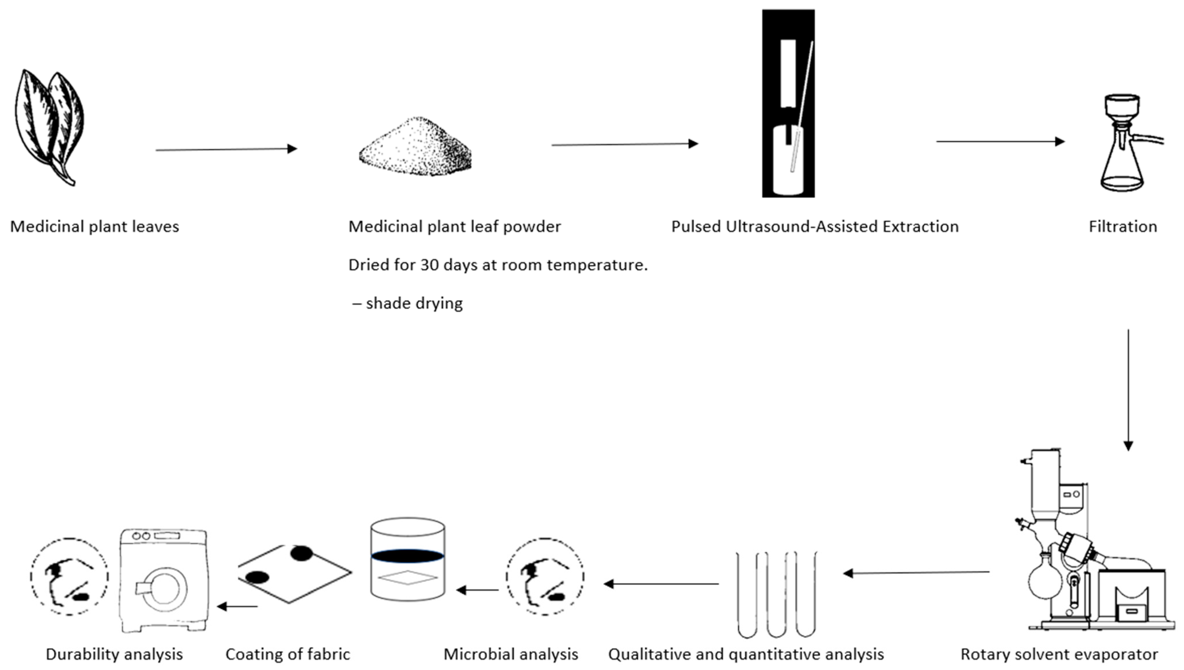 Plants 13 00514 g002