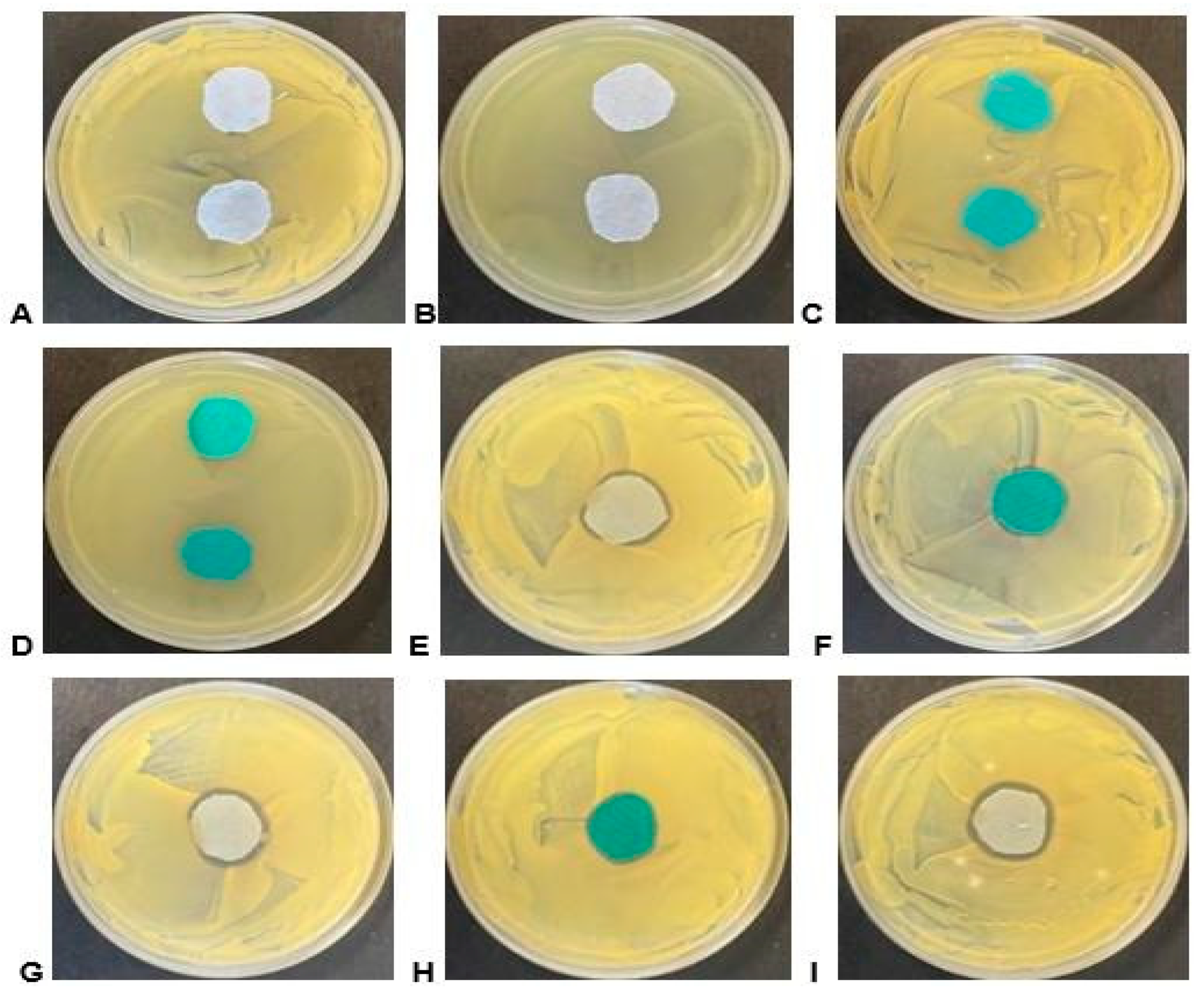 Plants 13 00514 g004