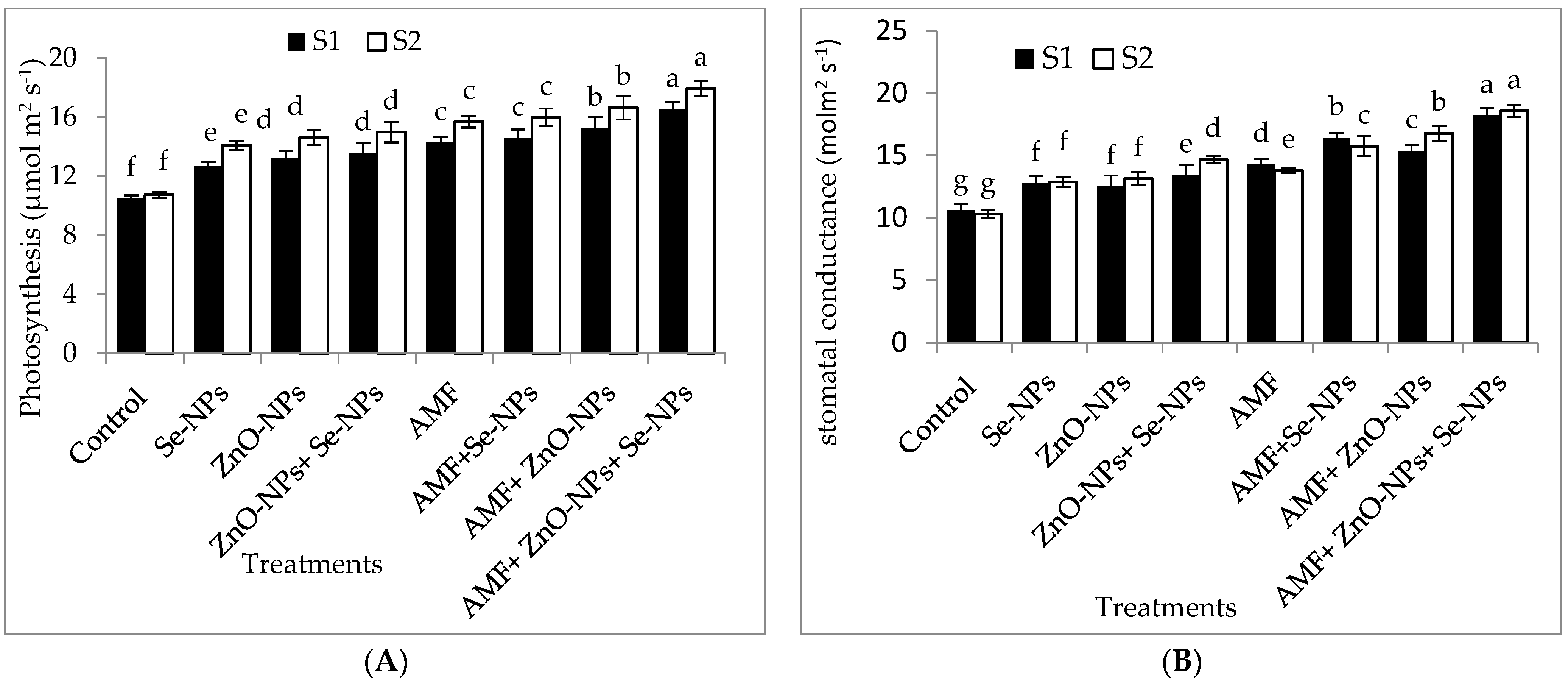 Plants 13 00517 g002a