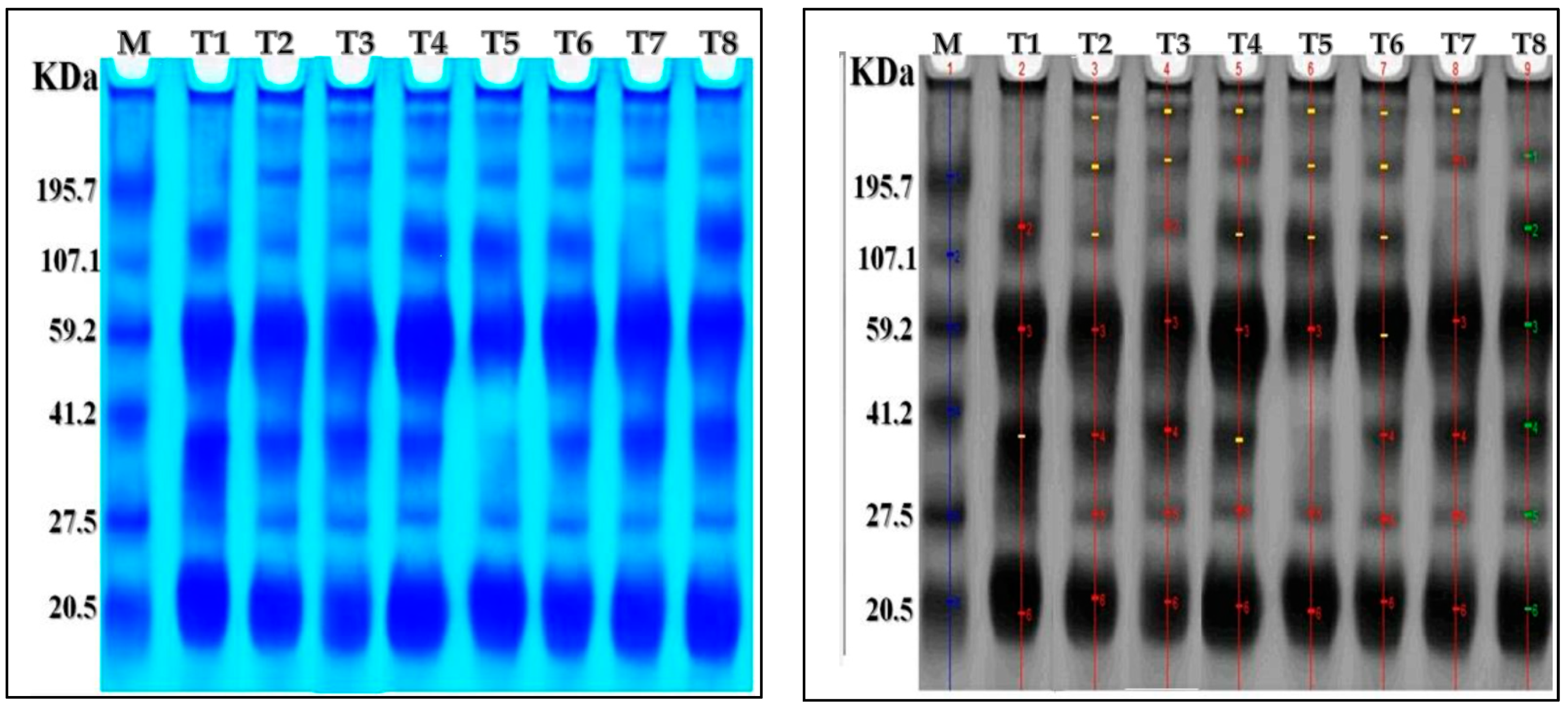 Plants 13 00517 g005