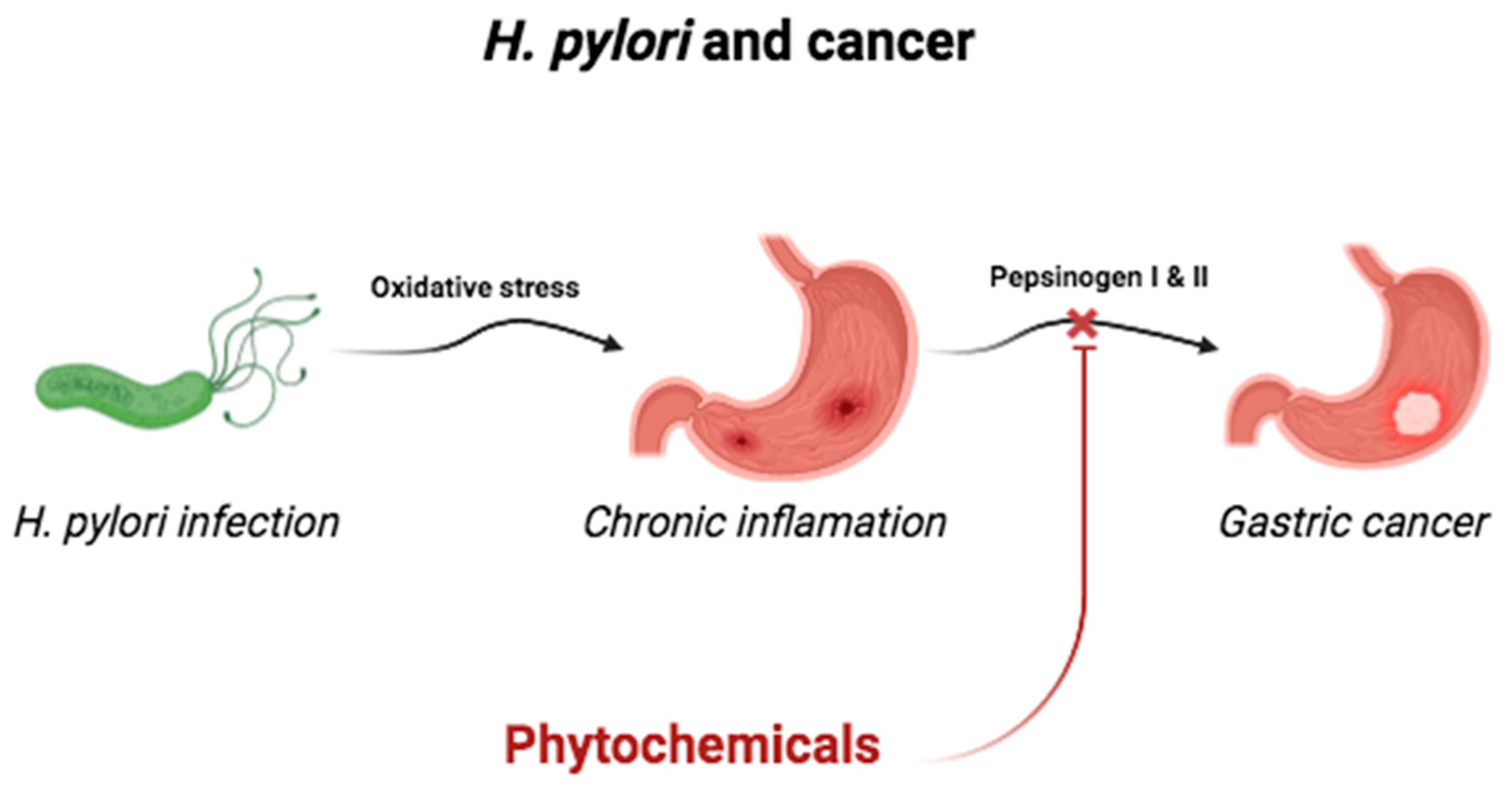 Plants 13 00523 g005