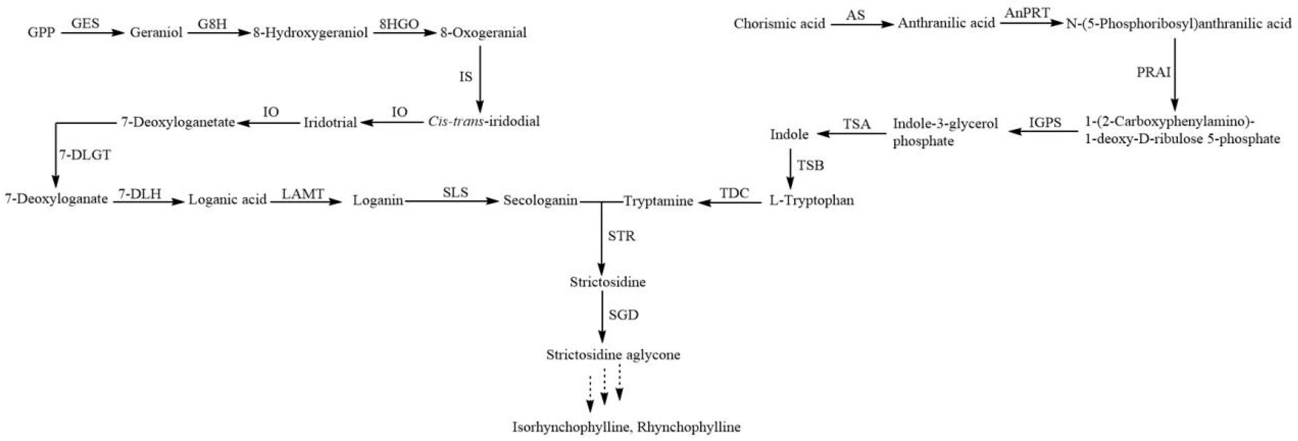 Plants 13 00532 g001