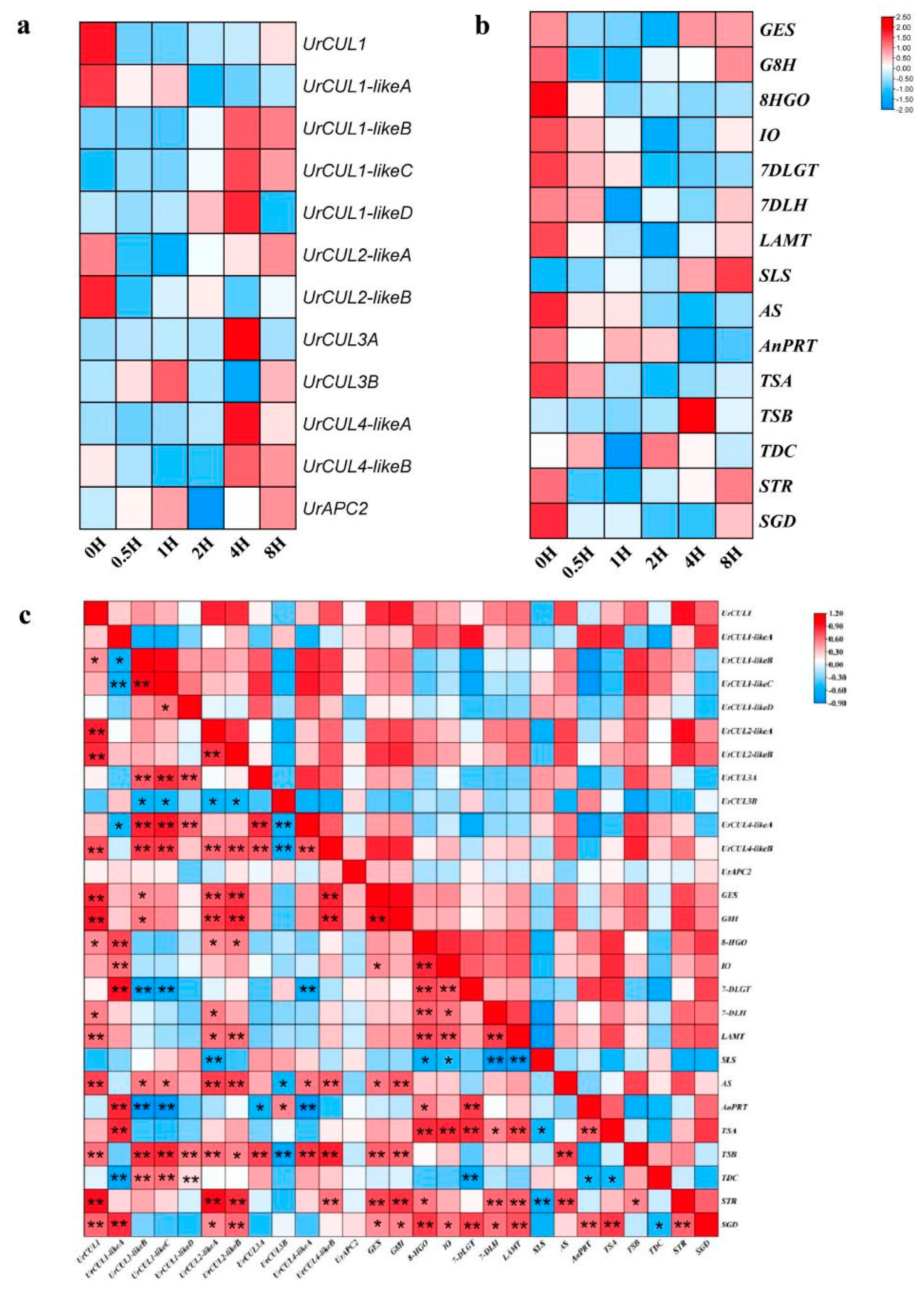 Plants 13 00532 g008