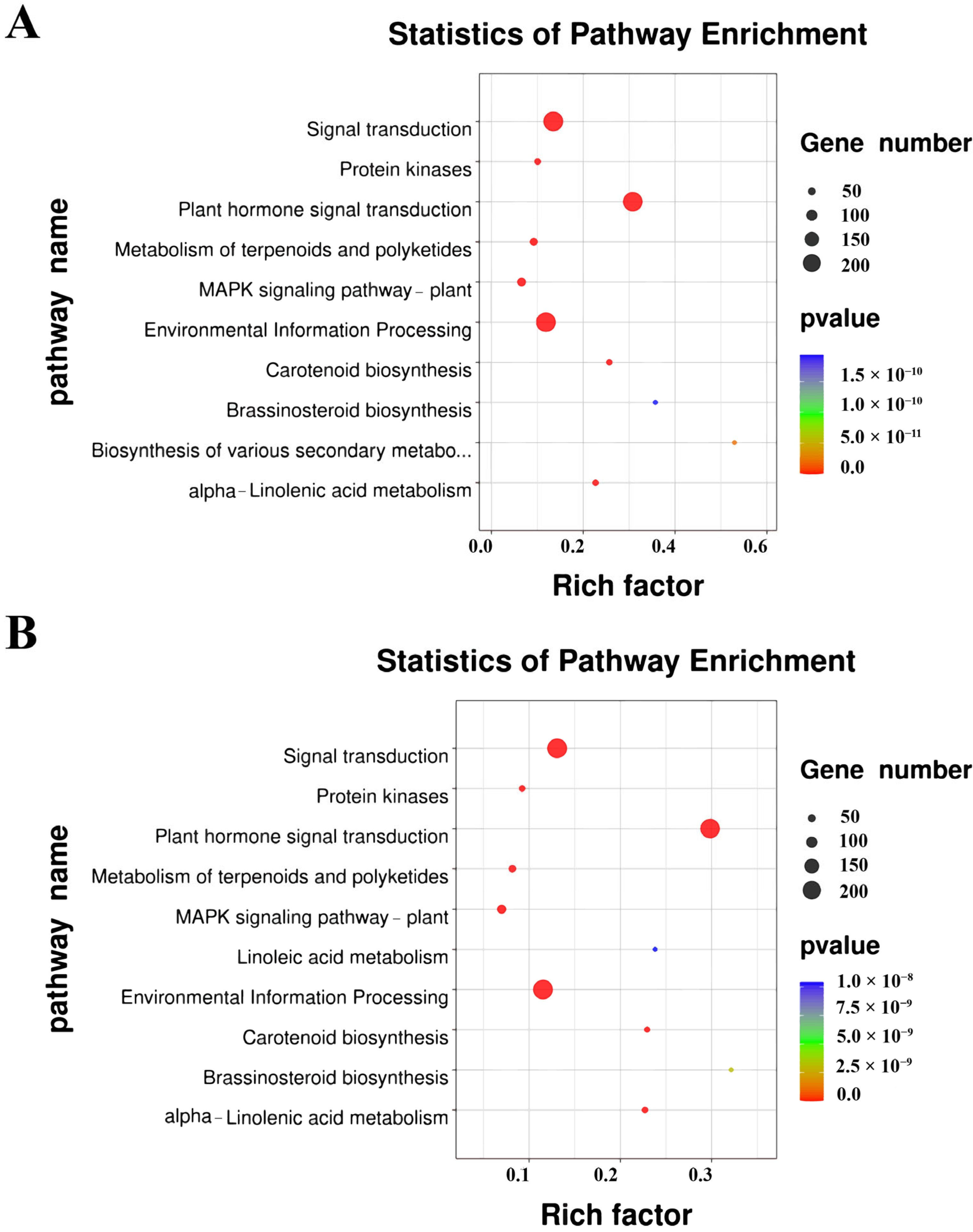 Plants 13 00557 g002 Plants 13 00557 g002