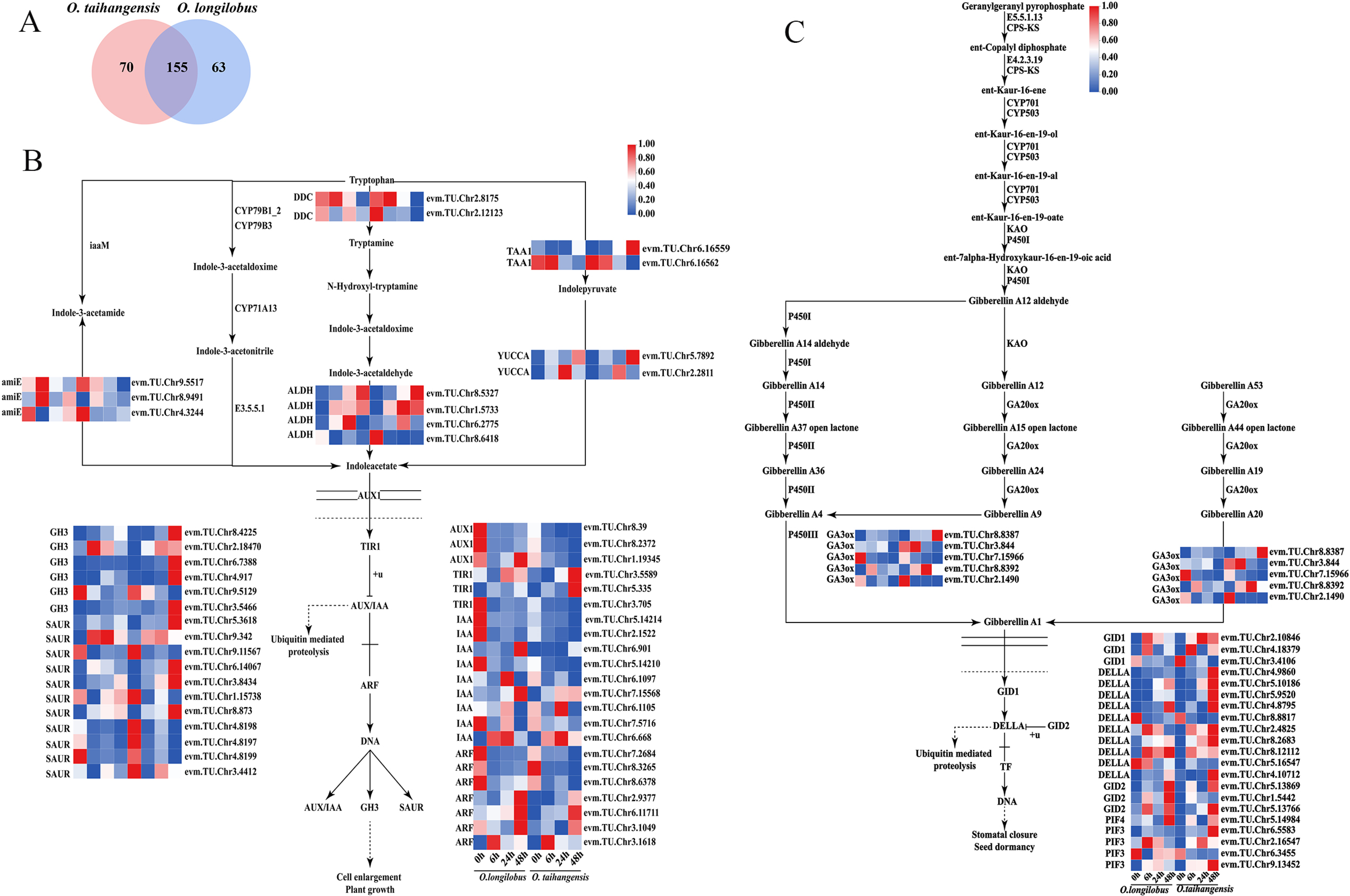 Plants 13 00557 g003a Plants 13 00557 g003a