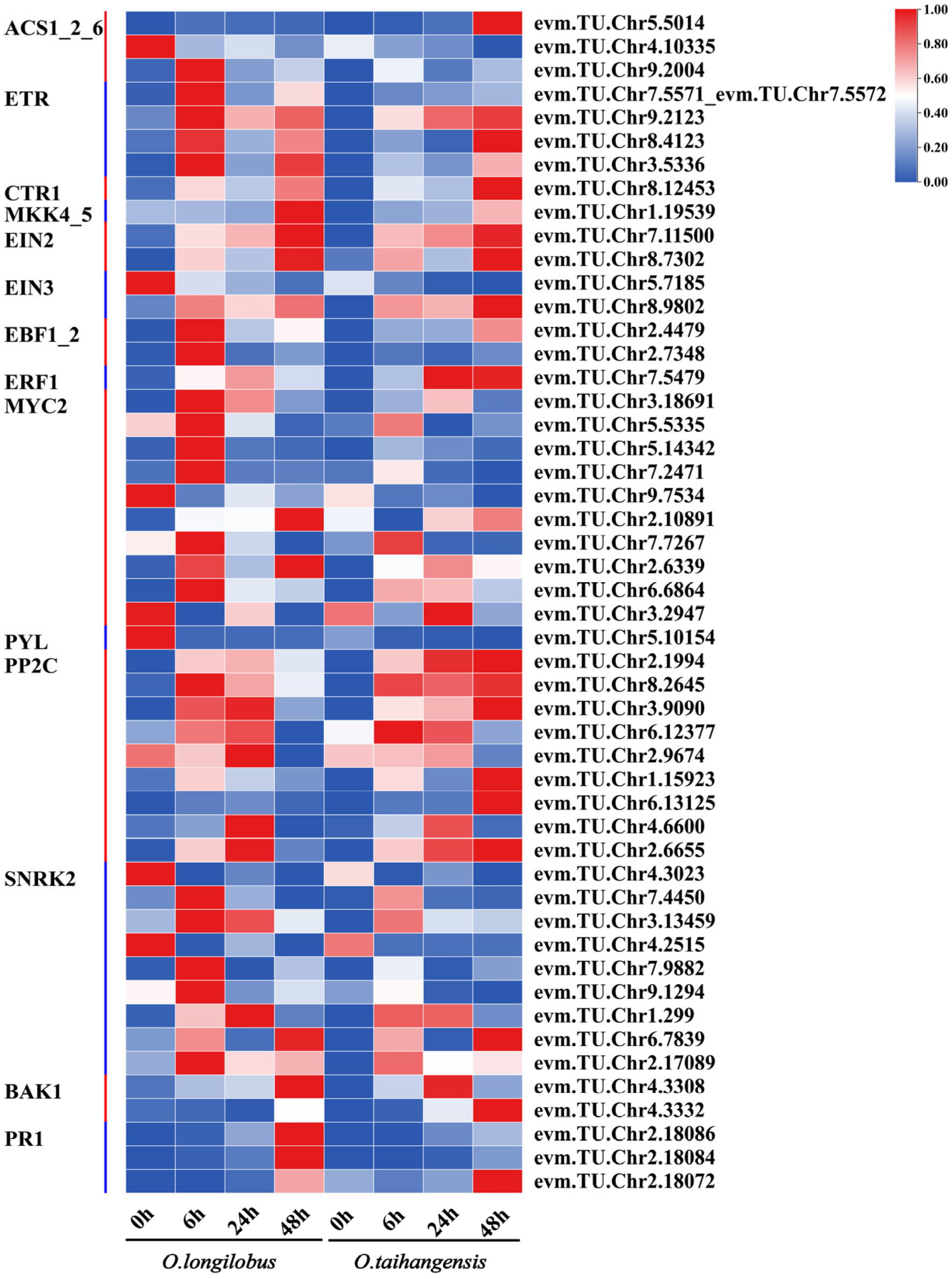Plants 13 00557 g005 Plants 13 00557 g005